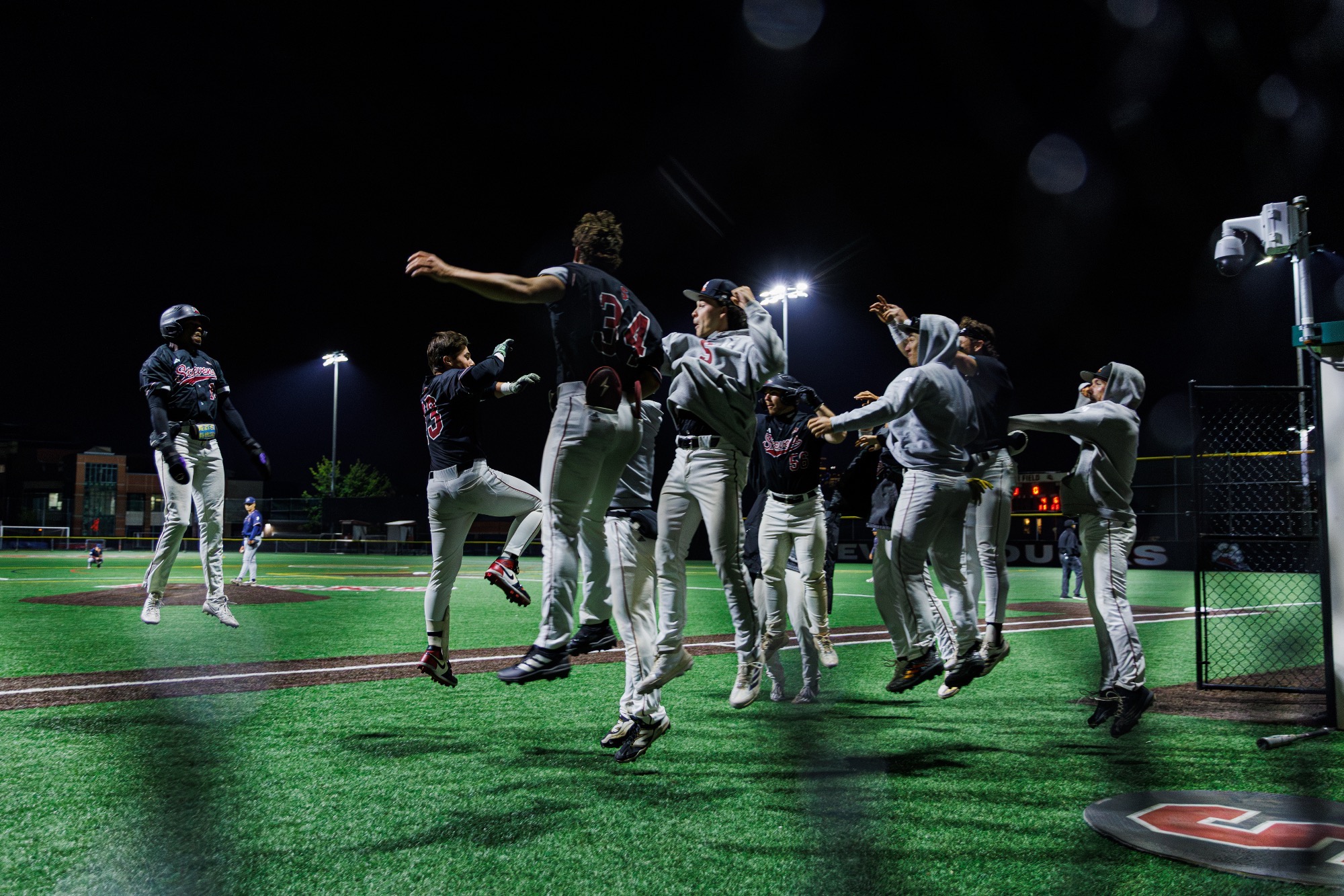 Baseball Celebration