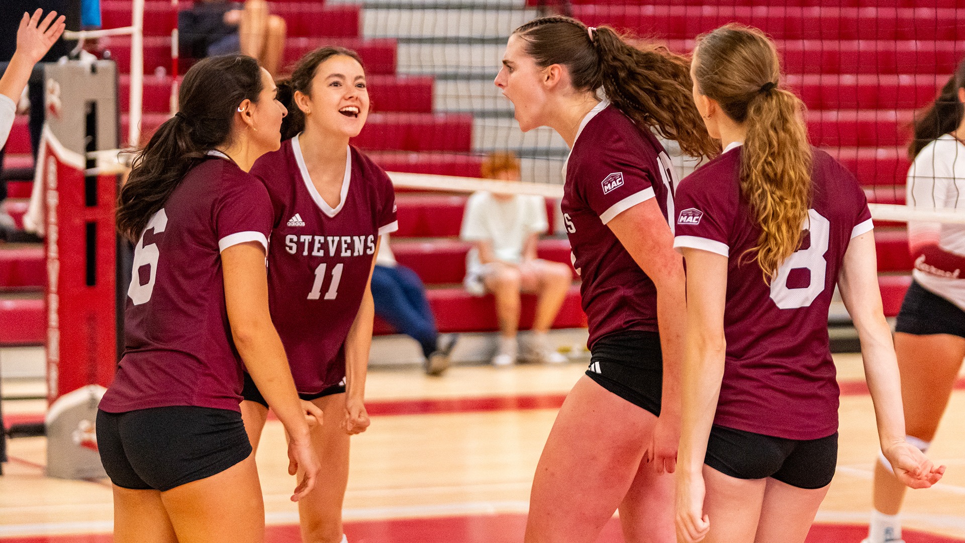 WVB Team Cele