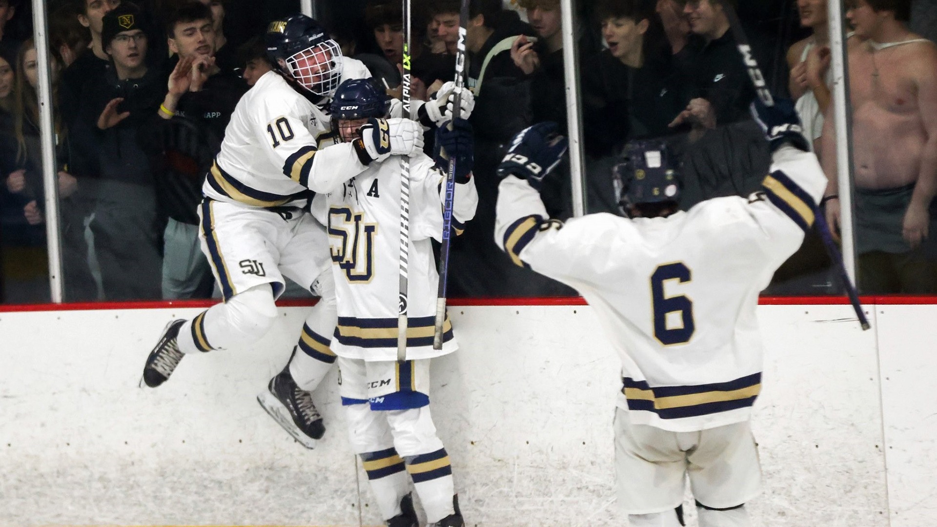 Hockey vs. Northview 2023