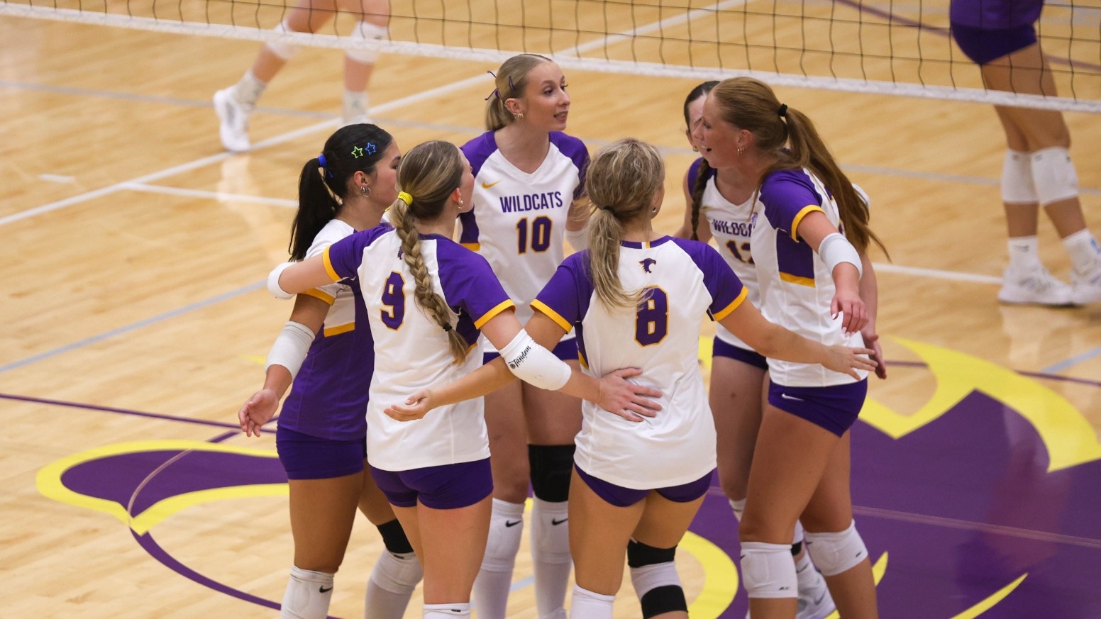 Volleyball celebration 