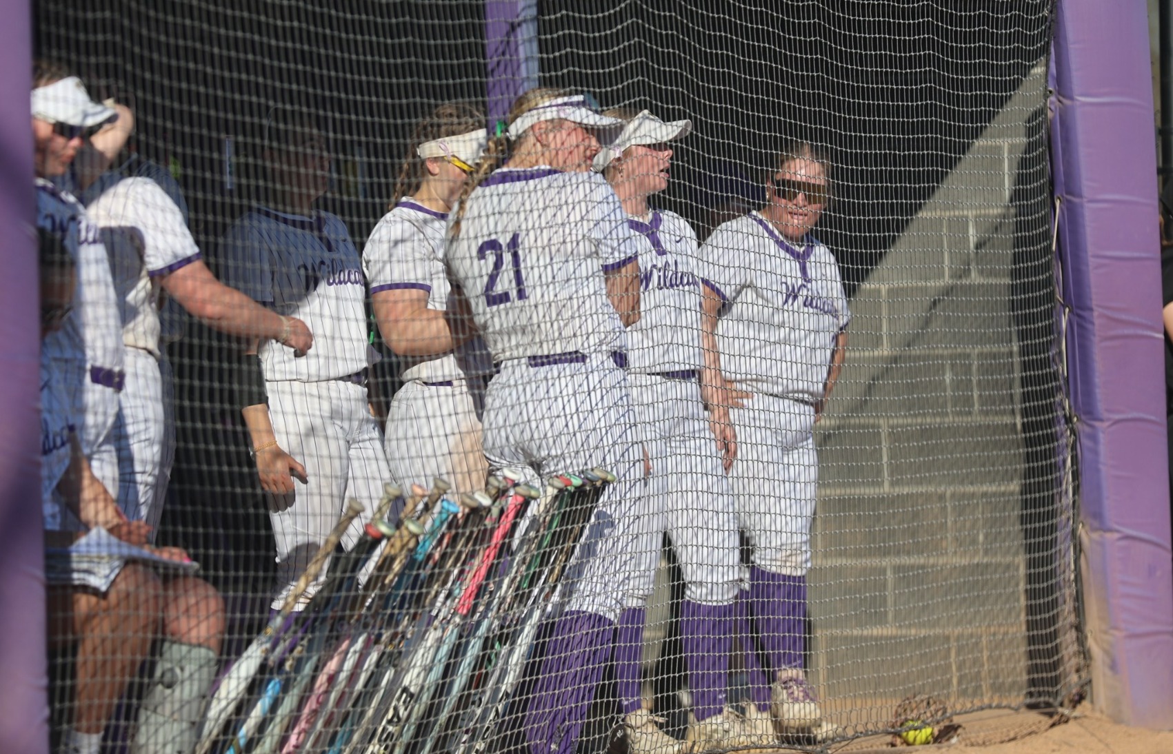 softball in dugout