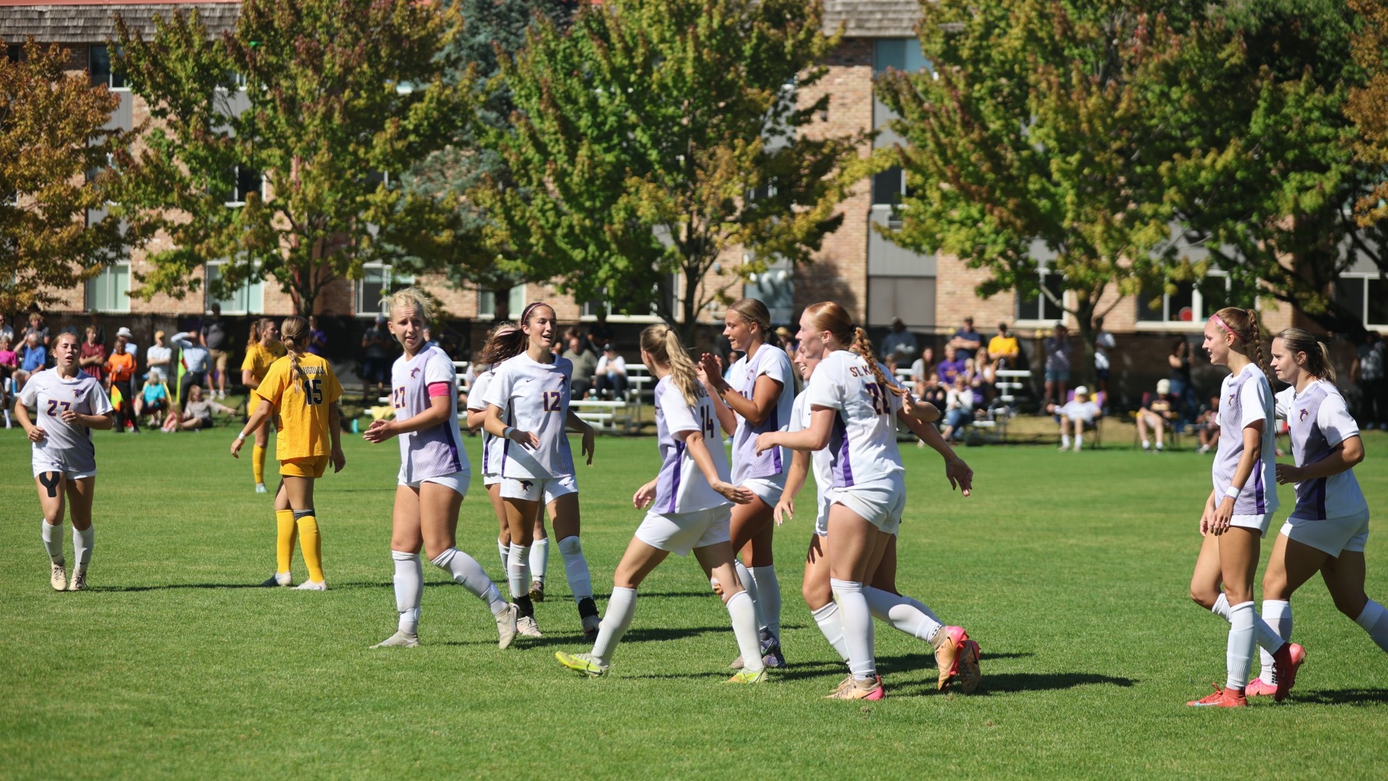 Soccer team celebration after tying goal