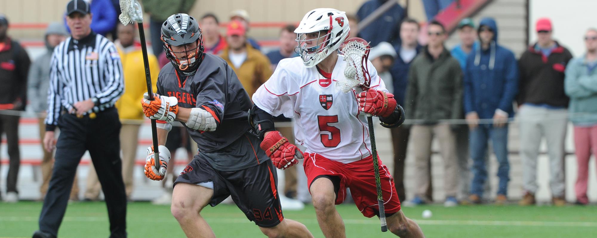 Conor Healey Men's Lacrosse St. Lawrence University Athletics