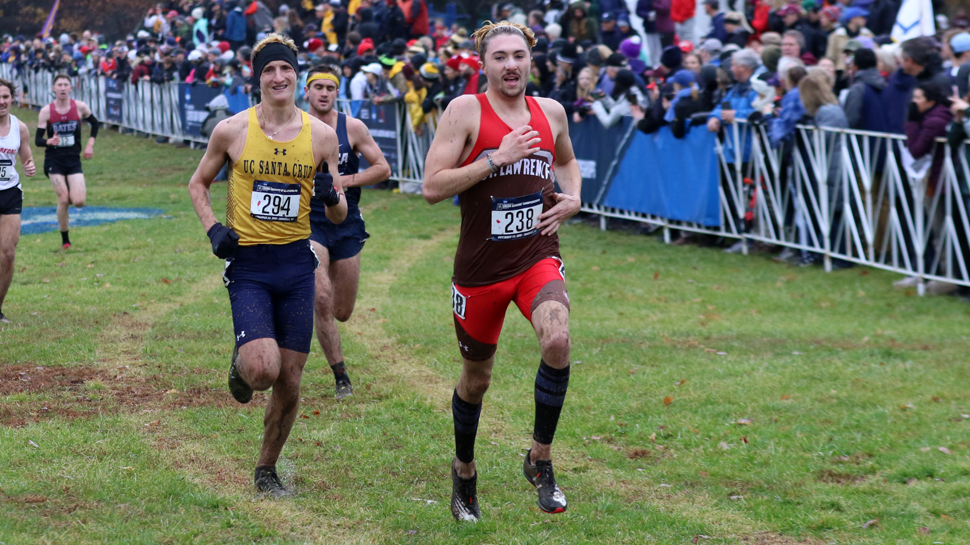 Jackson Hamilton Men's Cross Country St. Lawrence University Athletics