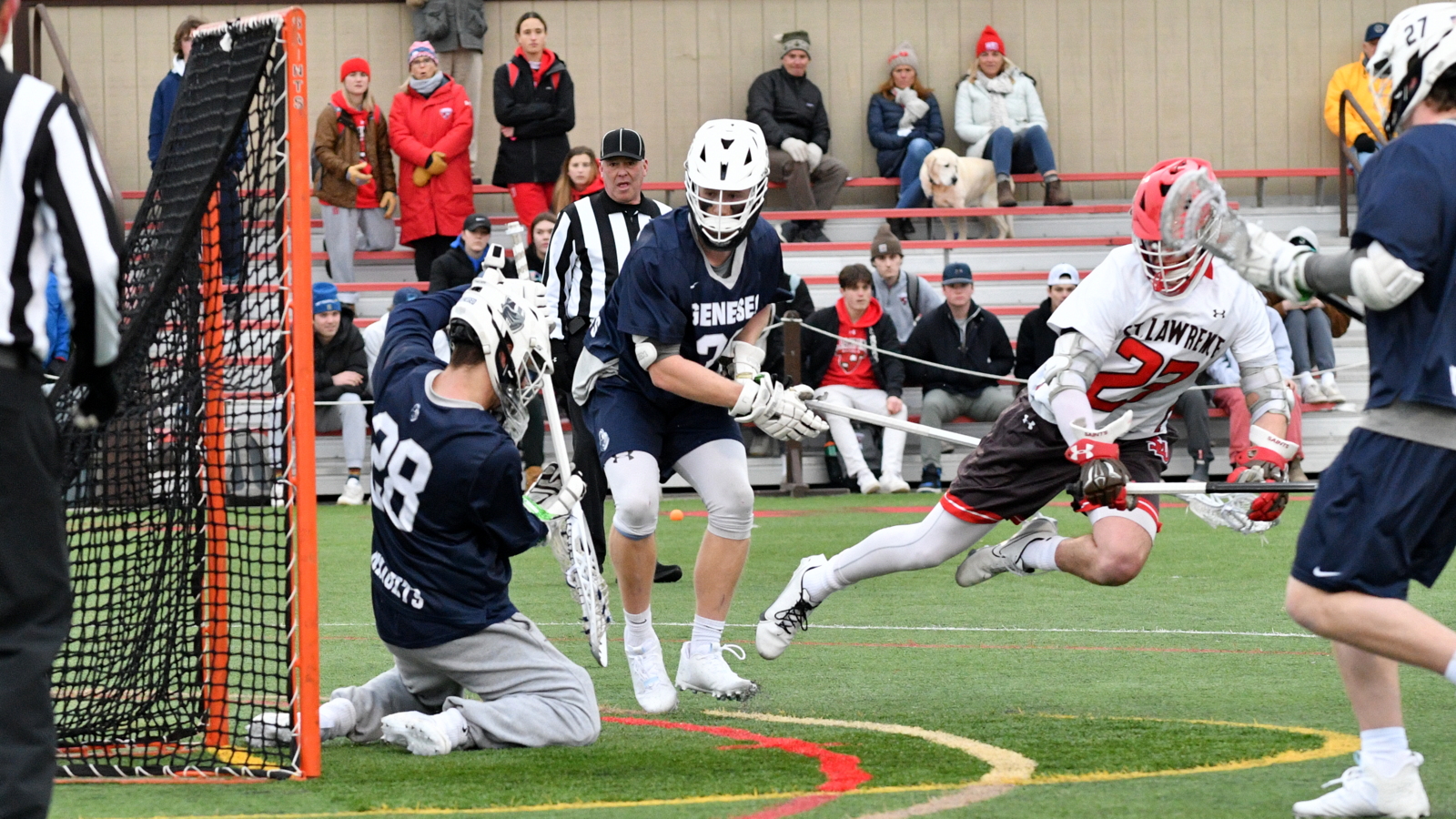 Chris Jordan Men's Lacrosse St. Lawrence University Athletics