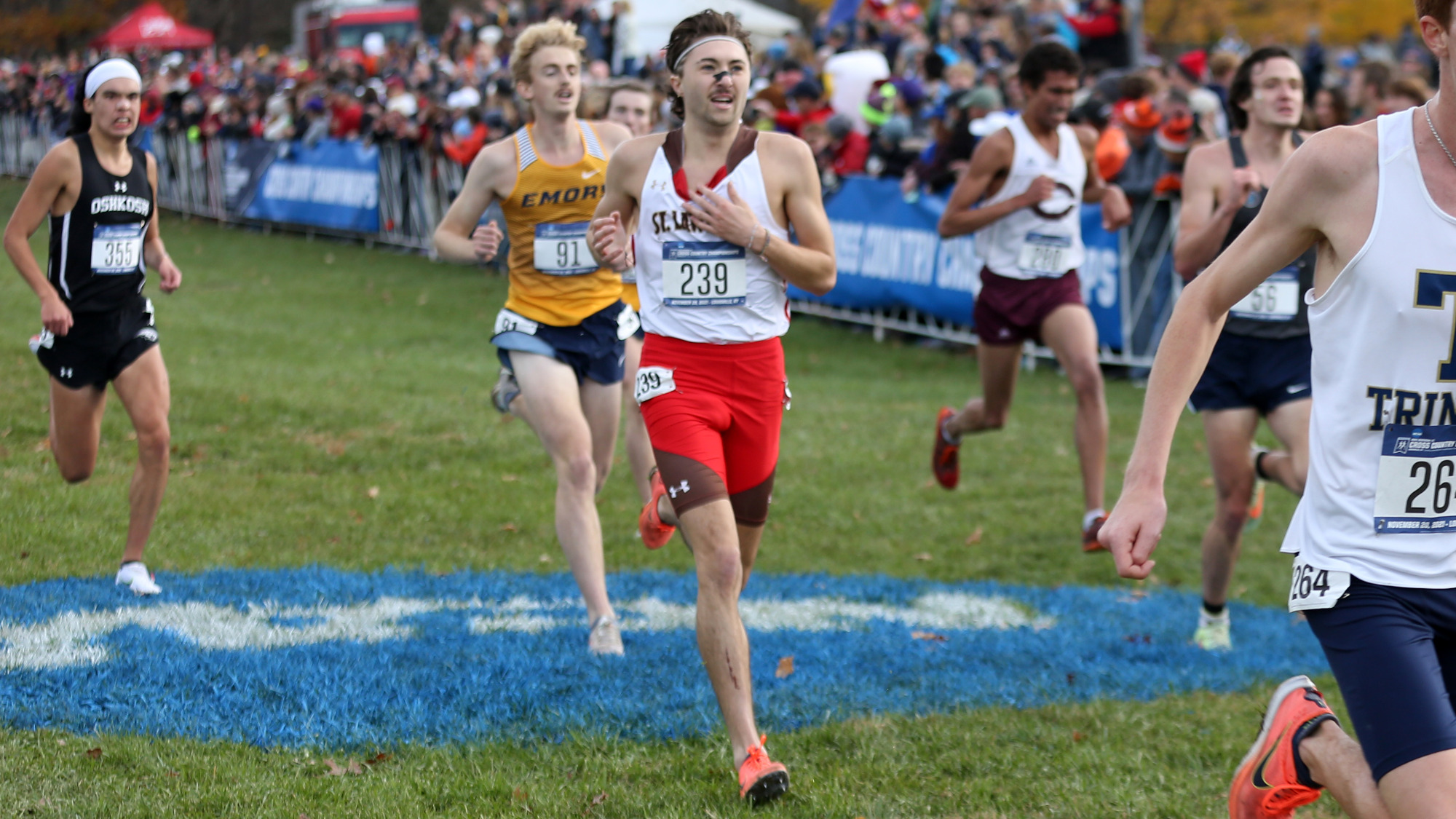 Jackson Hamilton Men's Cross Country St. Lawrence University Athletics