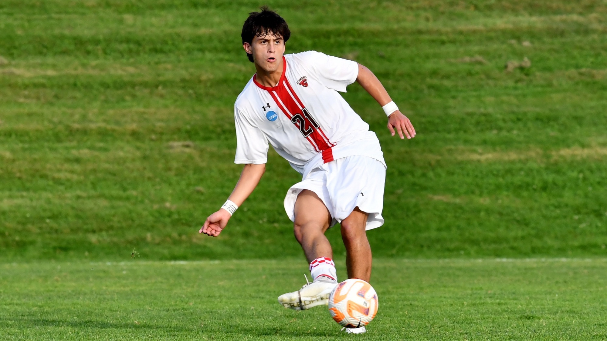 Dennis Argueta action