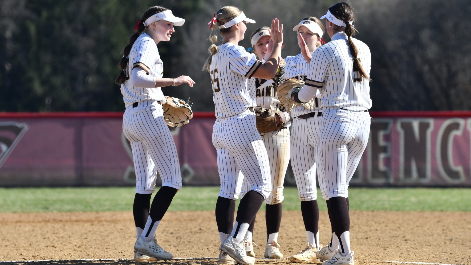 Softball Huddle