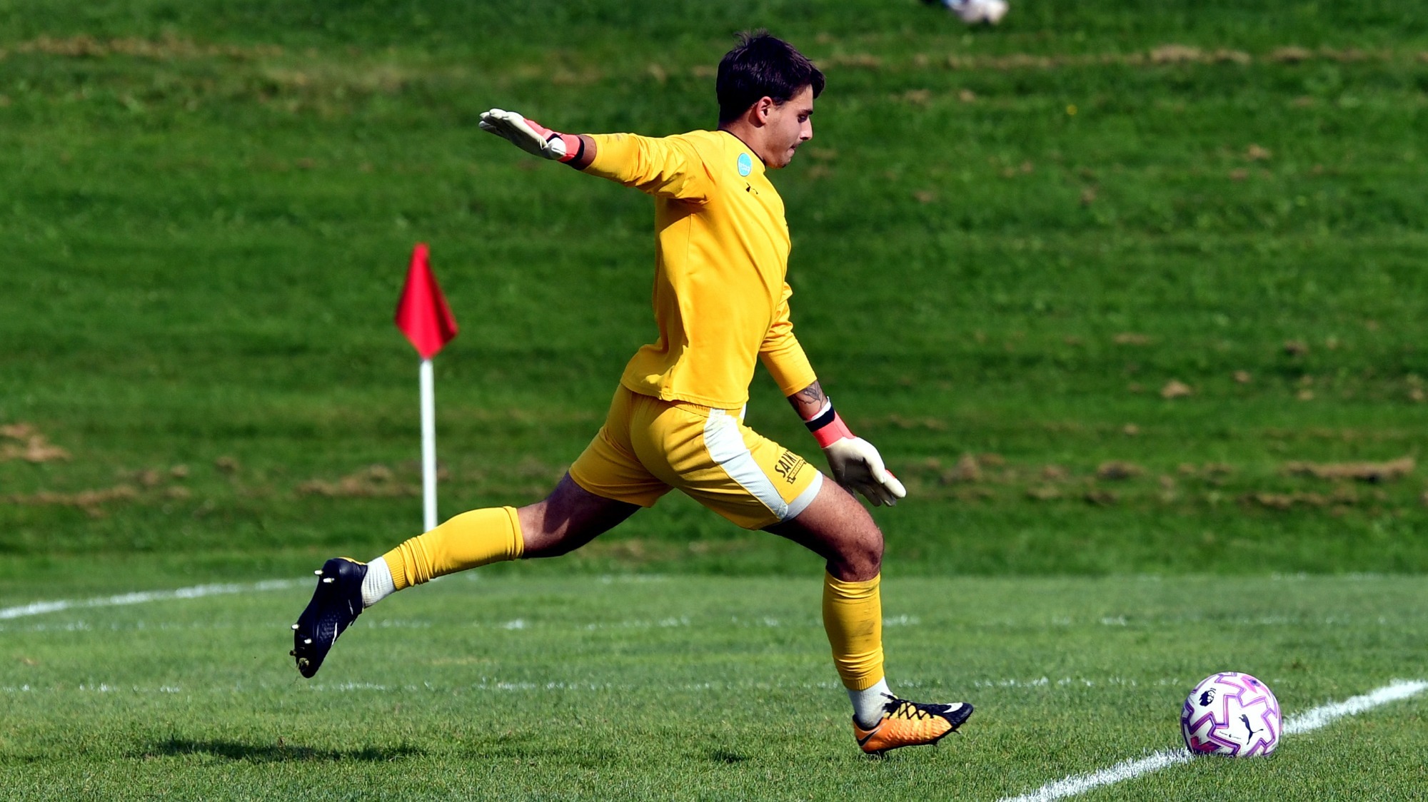 Zach Amato action