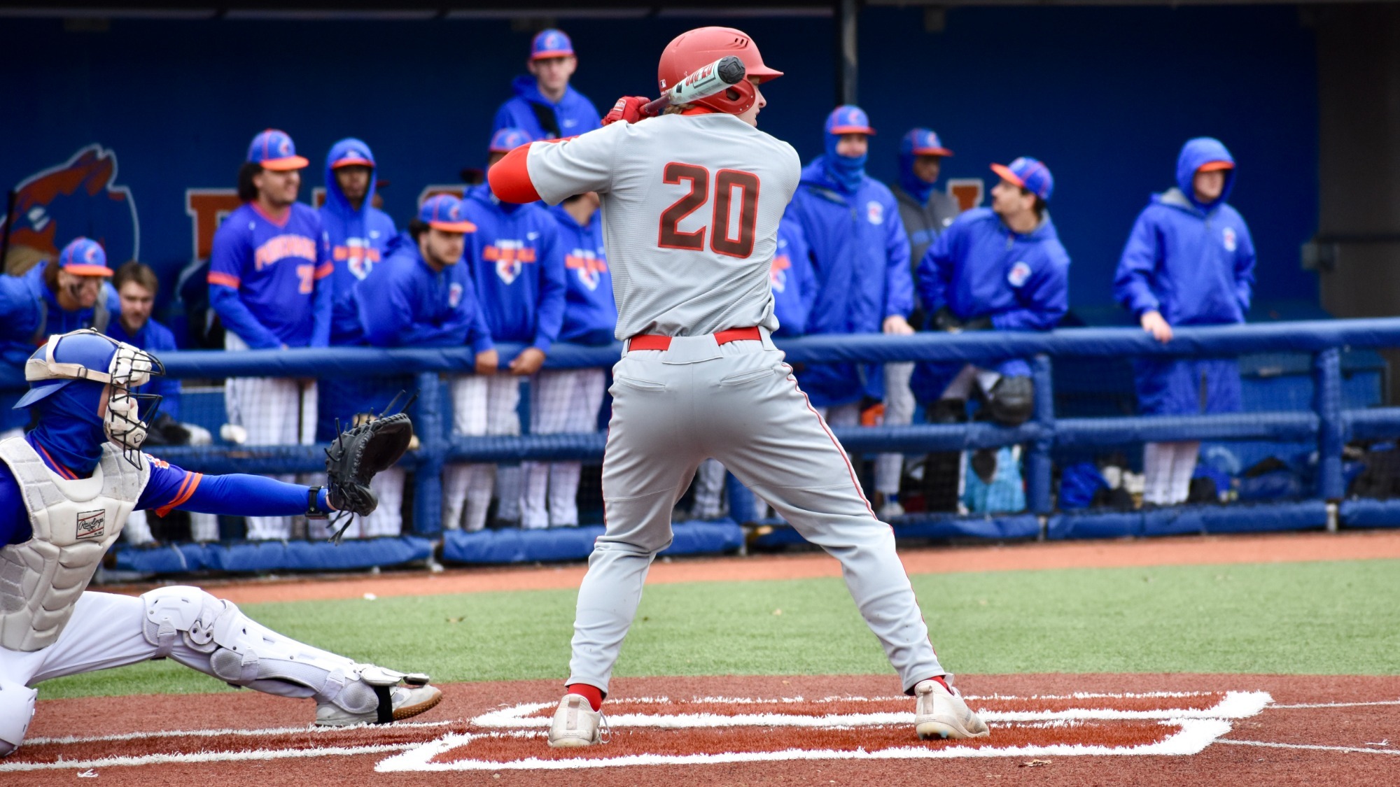 Gabe Albertson action