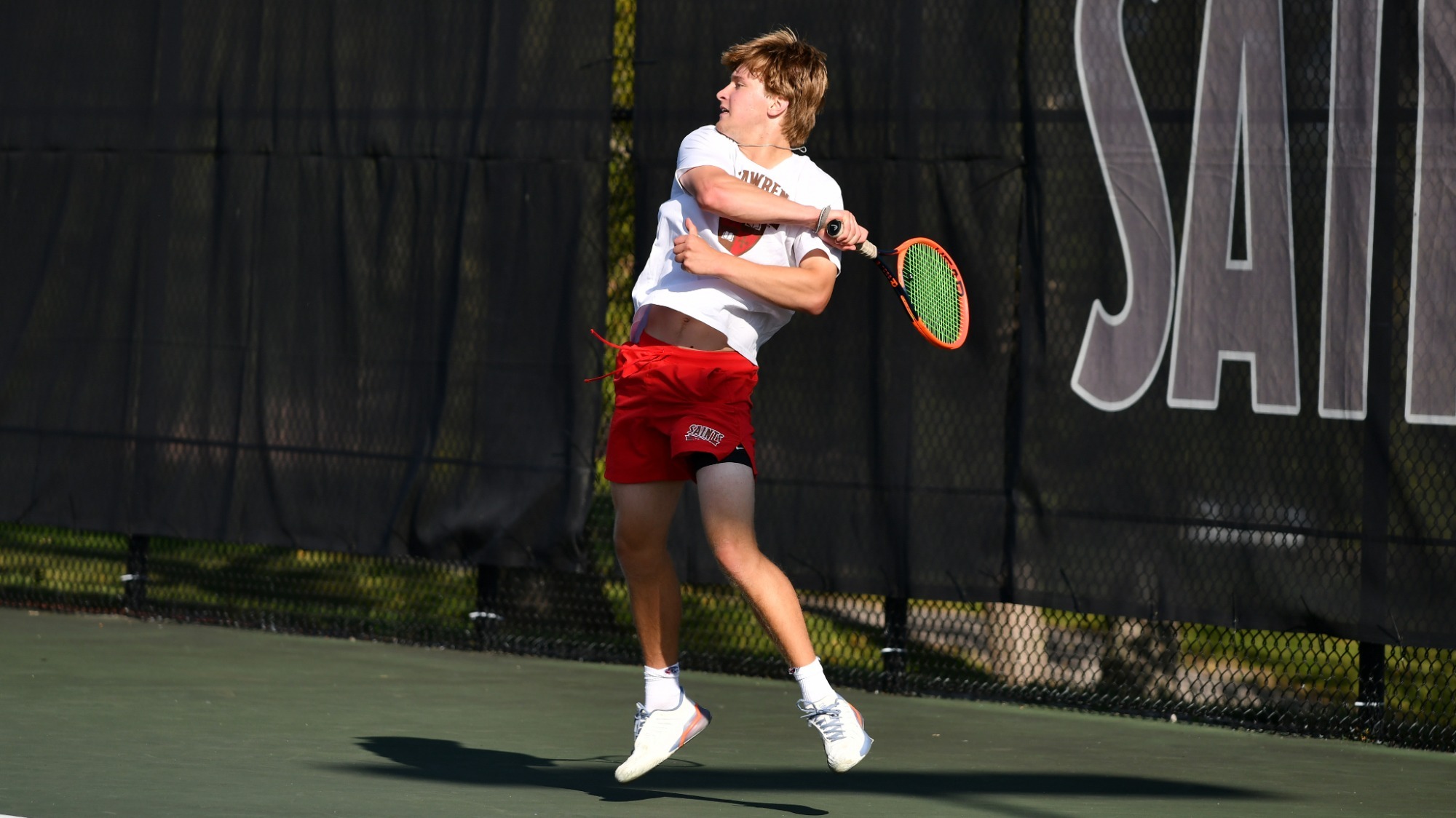 Charles Schepens action