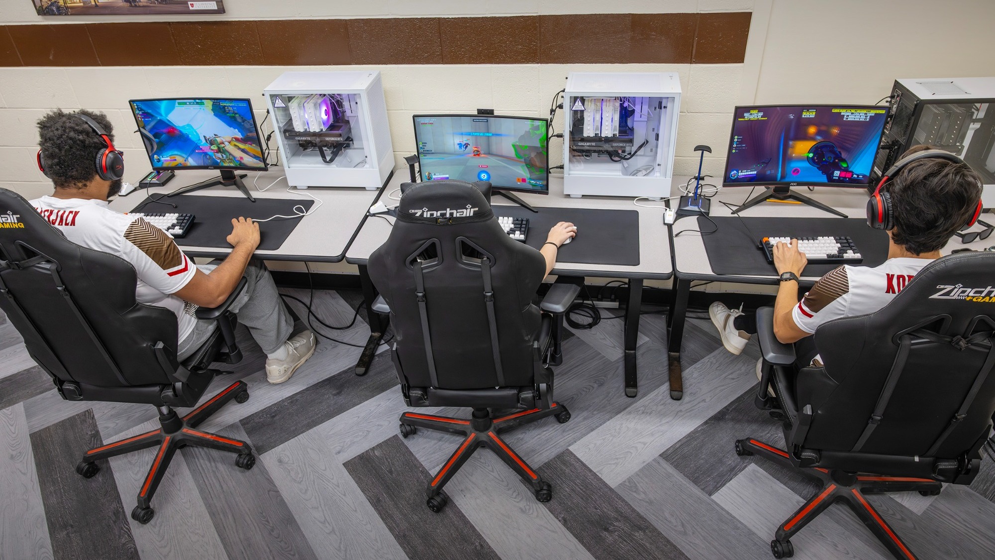 Overwatch Esports Picture