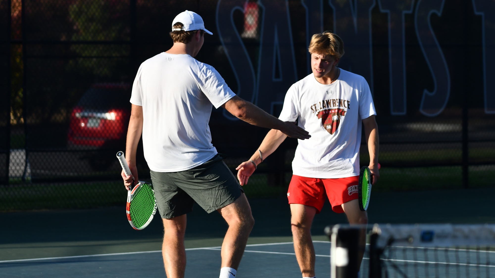 Schepens and Stout action