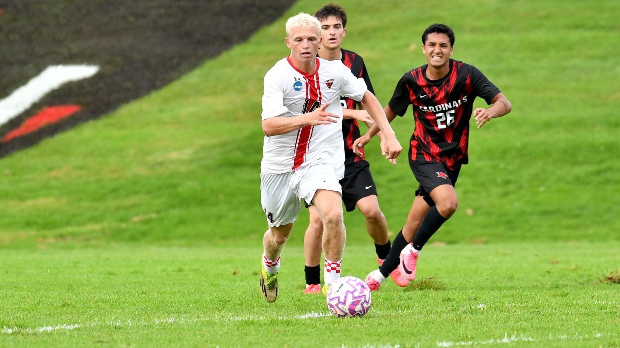 Sammy Bothwell action