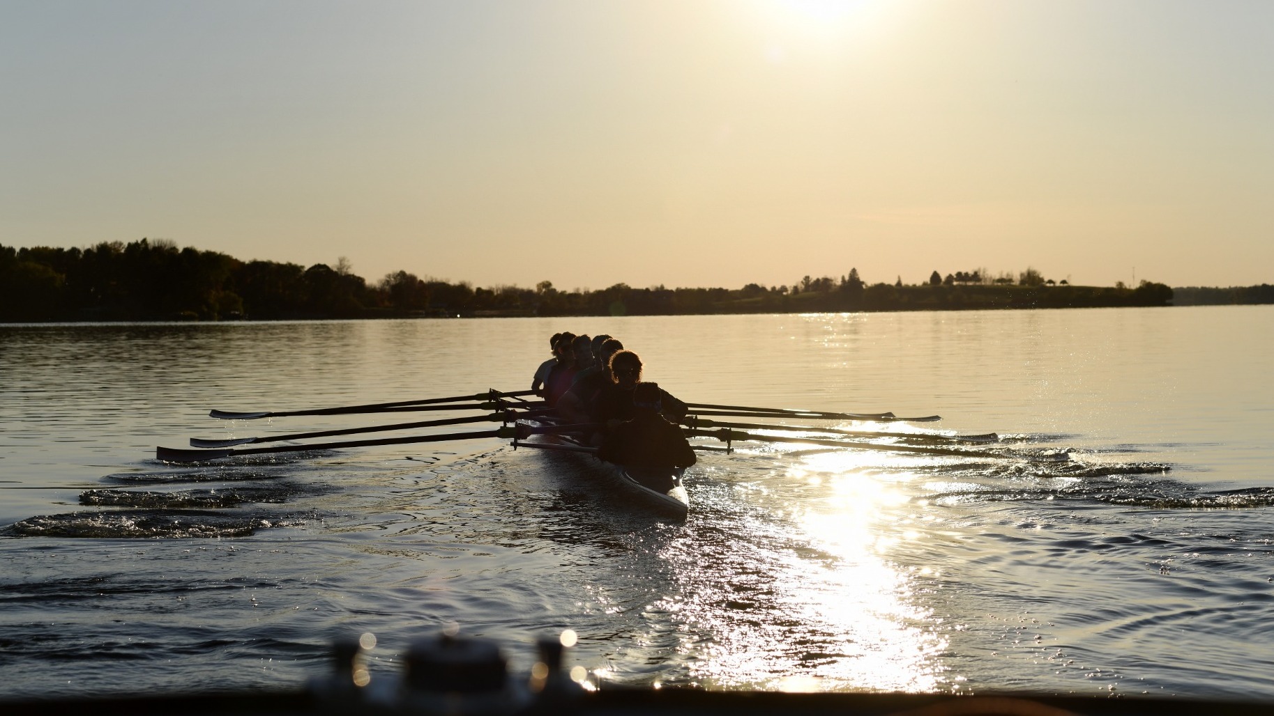 Men's Rowing action