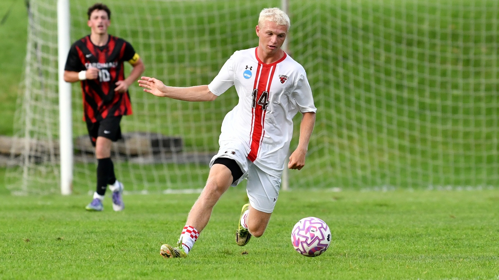 Sammy Bothwell action