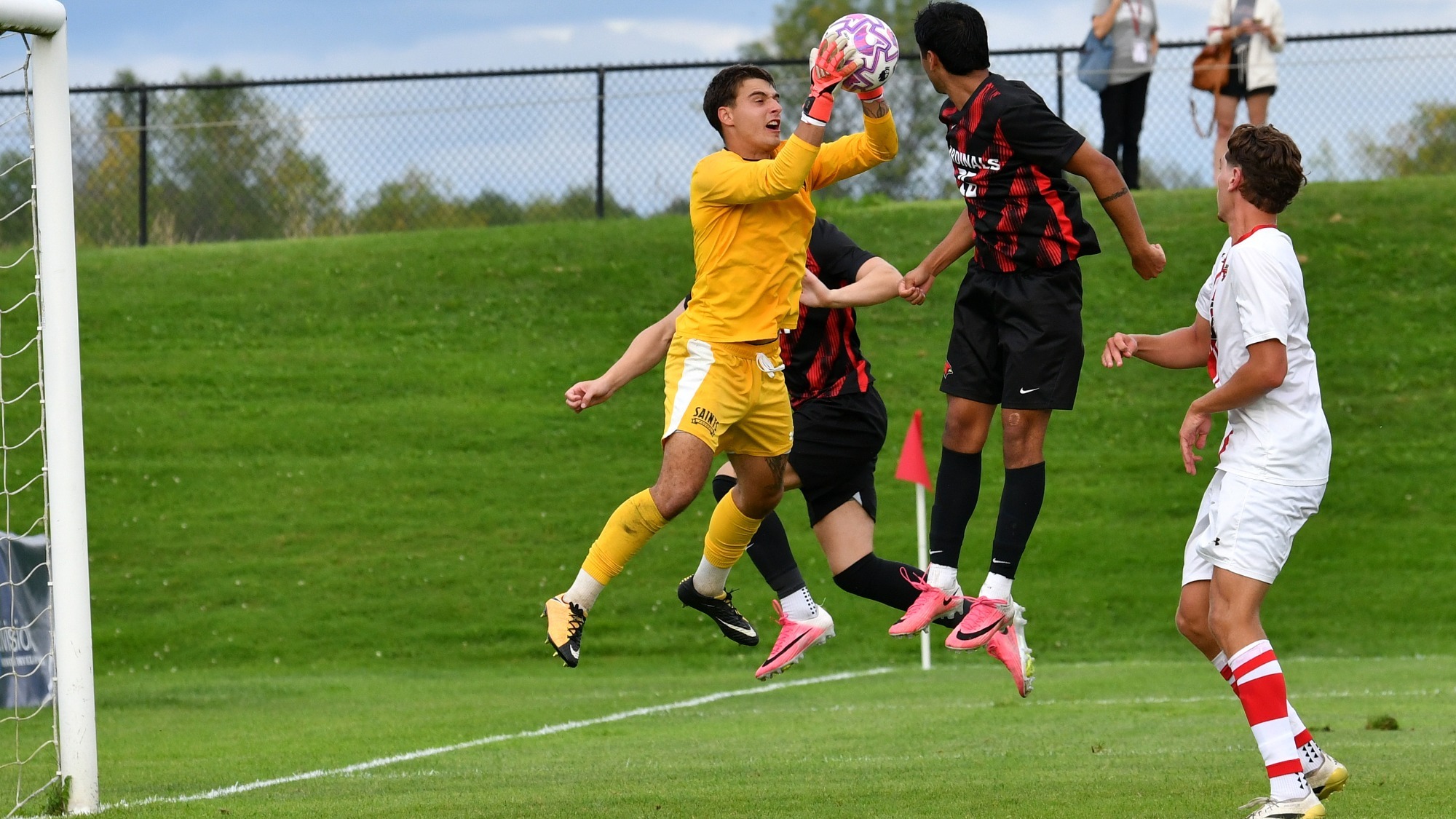 Zach Amato action
