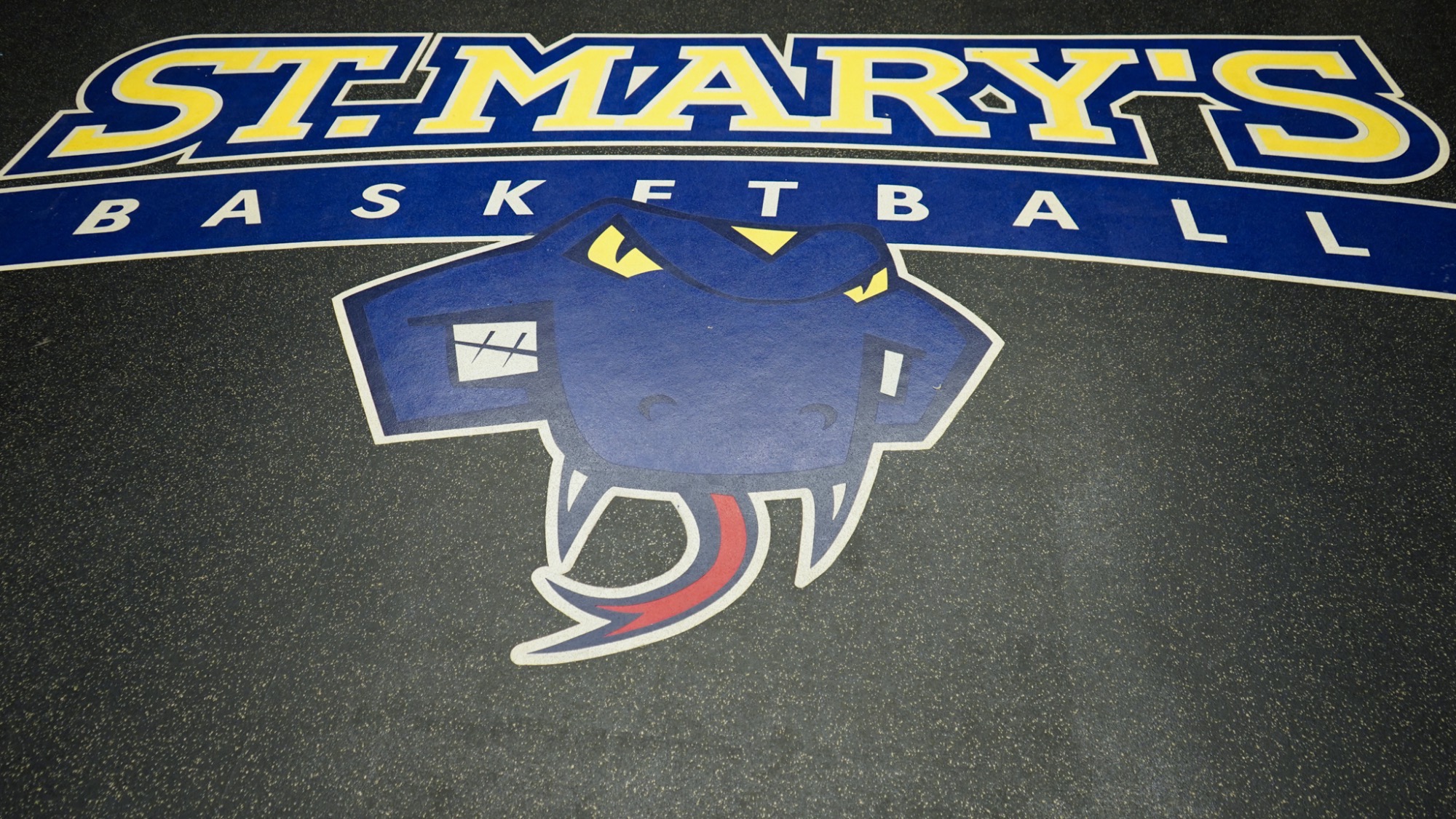 The St. Mary's University Basketball logo on the floor of the new locker room.