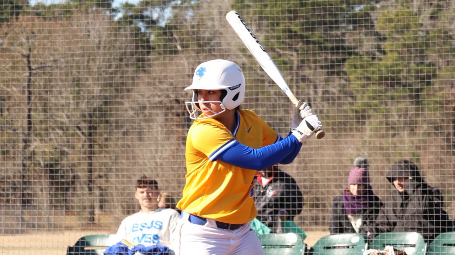 Iliana Melendez stands in the left handed batter's box awaiting a pitch.