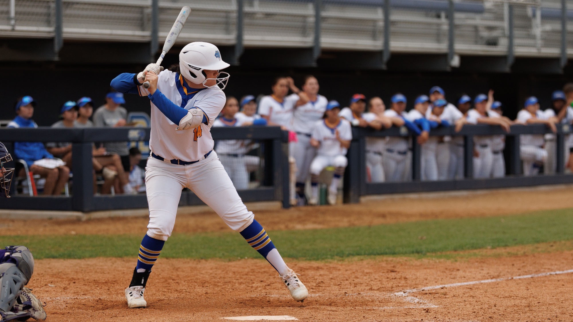 Miah Corona stands in the batter's box awaiting a pitch.
