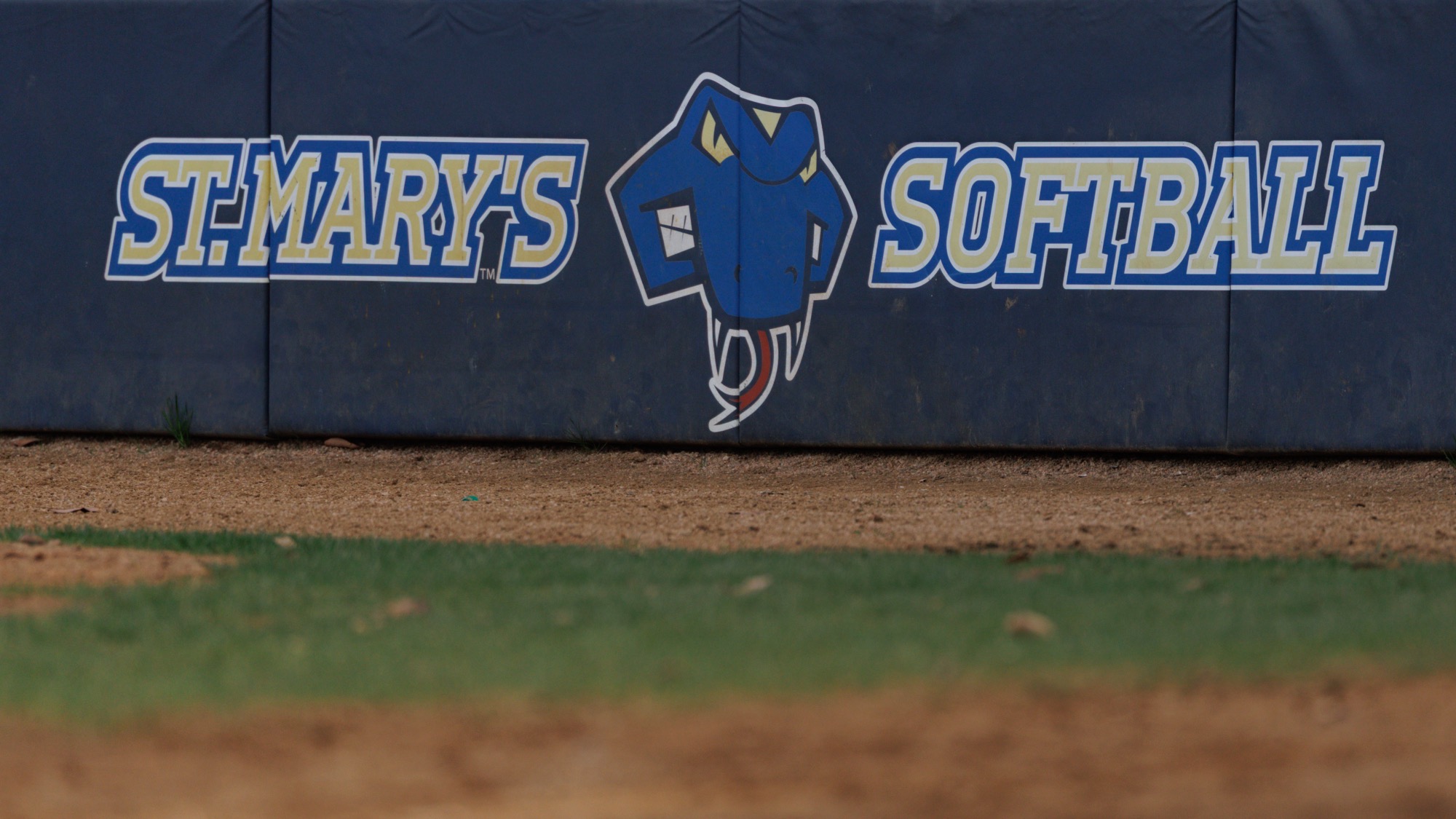 Picture of the St. Mary's Softball logo on the padding.