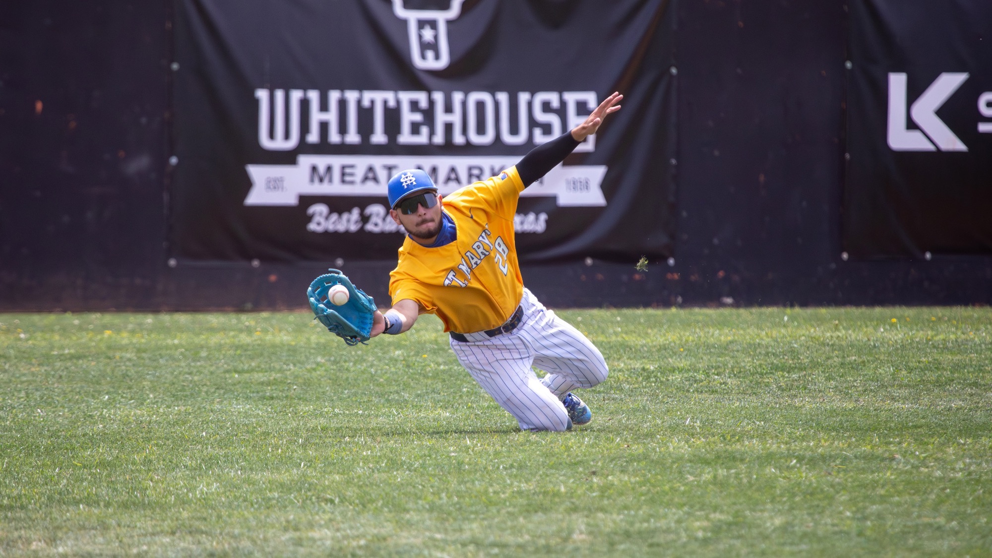 Rob Gonzalez makes a diving catch in left field.