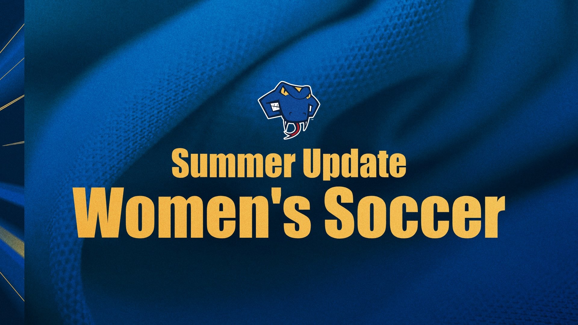 Graphic with jersey in background. In foreground is the Rattler head with the words Summer Update Women's Soccer below it.