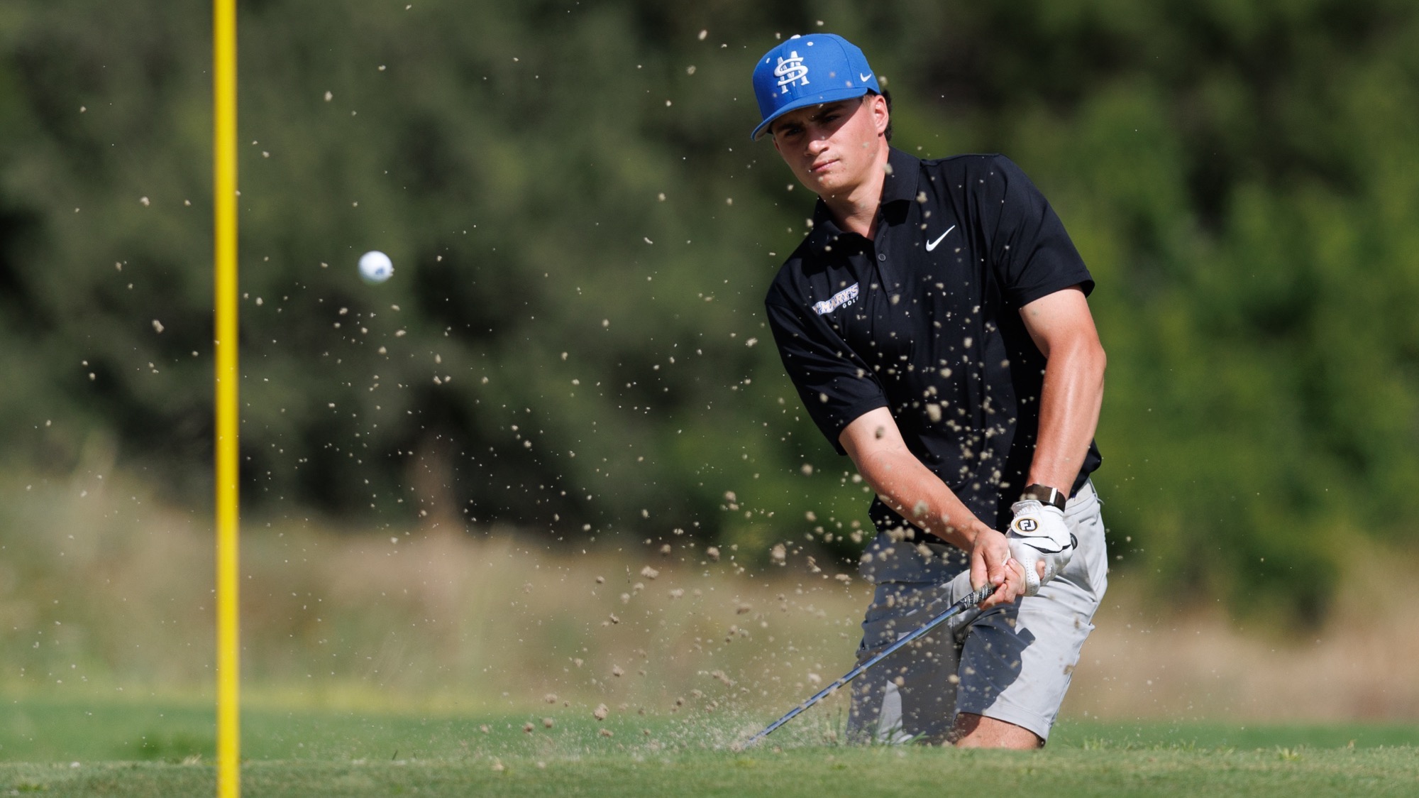 Matt Lewis chips in a shot at TPC San Antonio