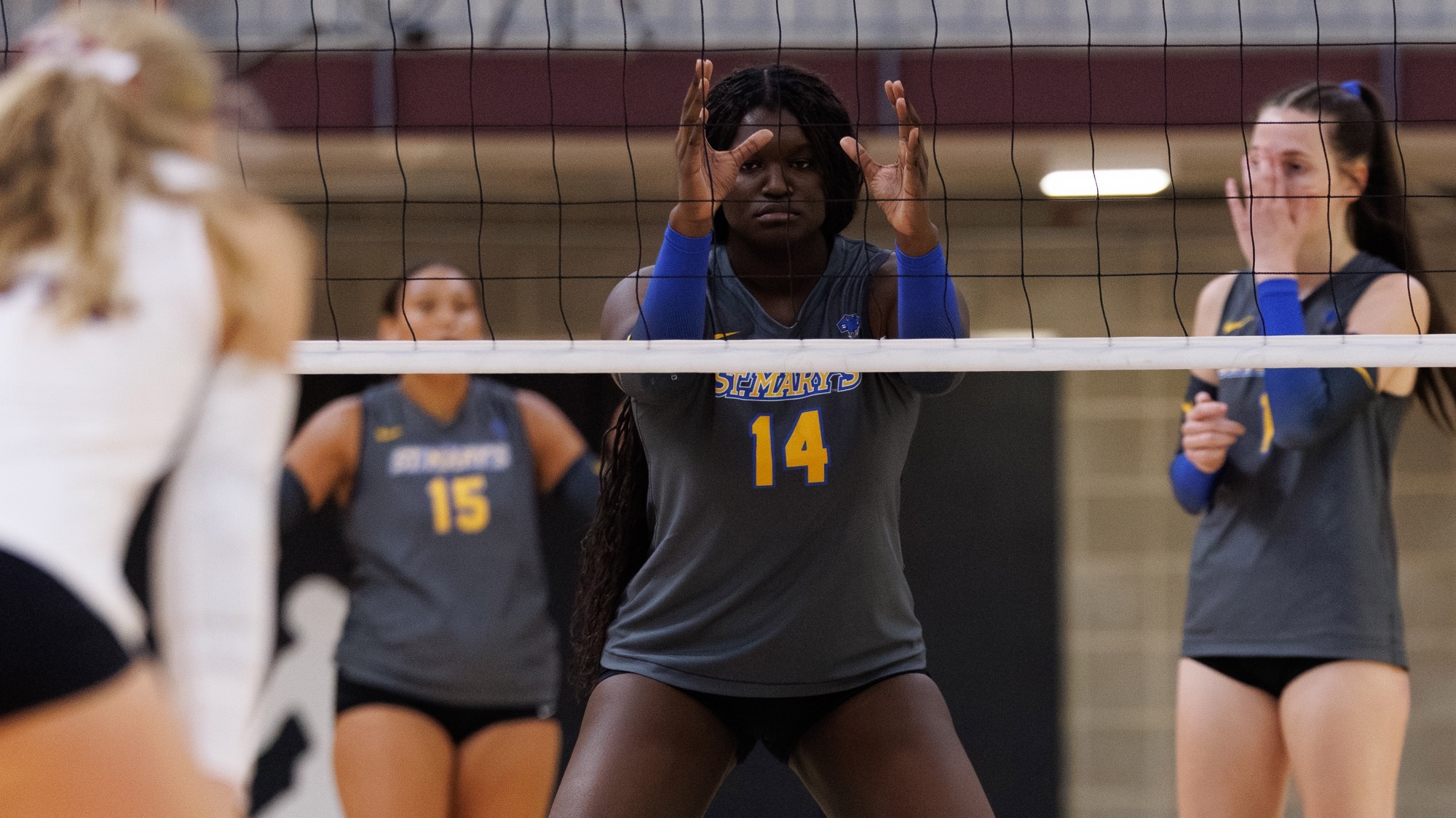 Madyson Carr stands at the net with her hands up ready to block 