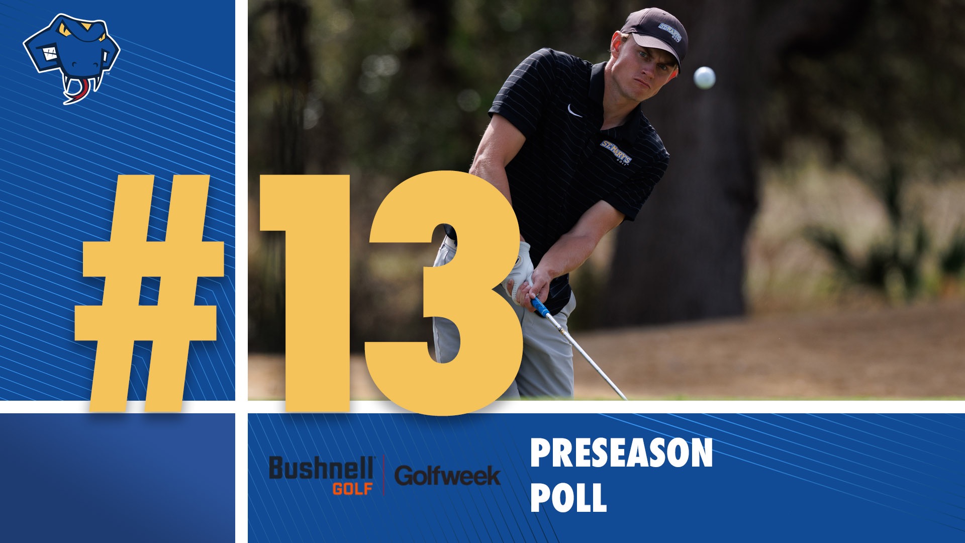 Graphic divided in four. In top left is the Rattlerhead logo. Overlapping the quadrants is a large, gold #13. The top right quadrant has an action picture of Philip Hallstrom, while the words Bushnell/Golfweek Preseason Poll are below him.