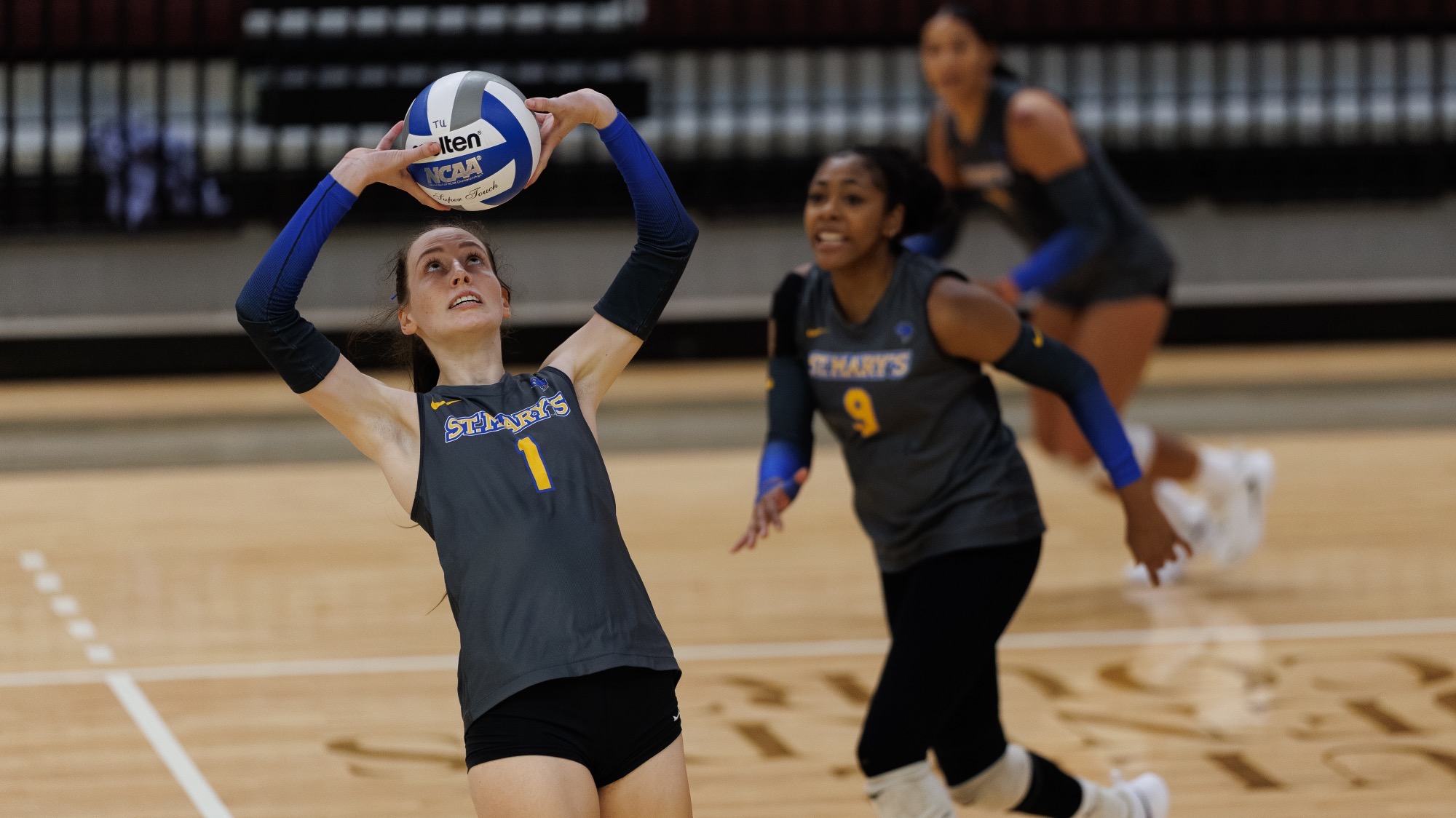 Haleigh Wilk sets the ball as Olivia Rubio runs behind her and Laurene Robinson begins her approach on the right.
