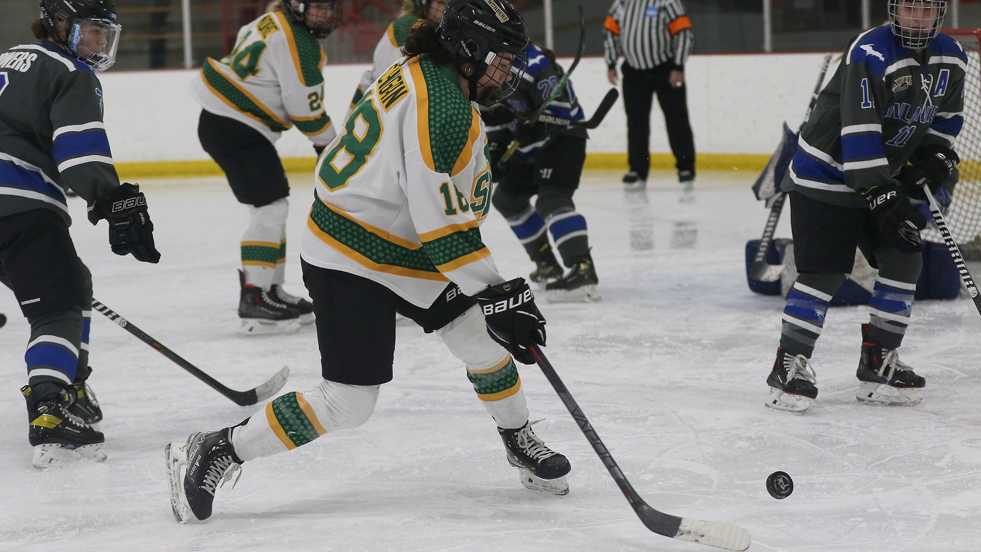 Courtnie Hogan 202223 Women’s Ice Hockey St. Norbert College