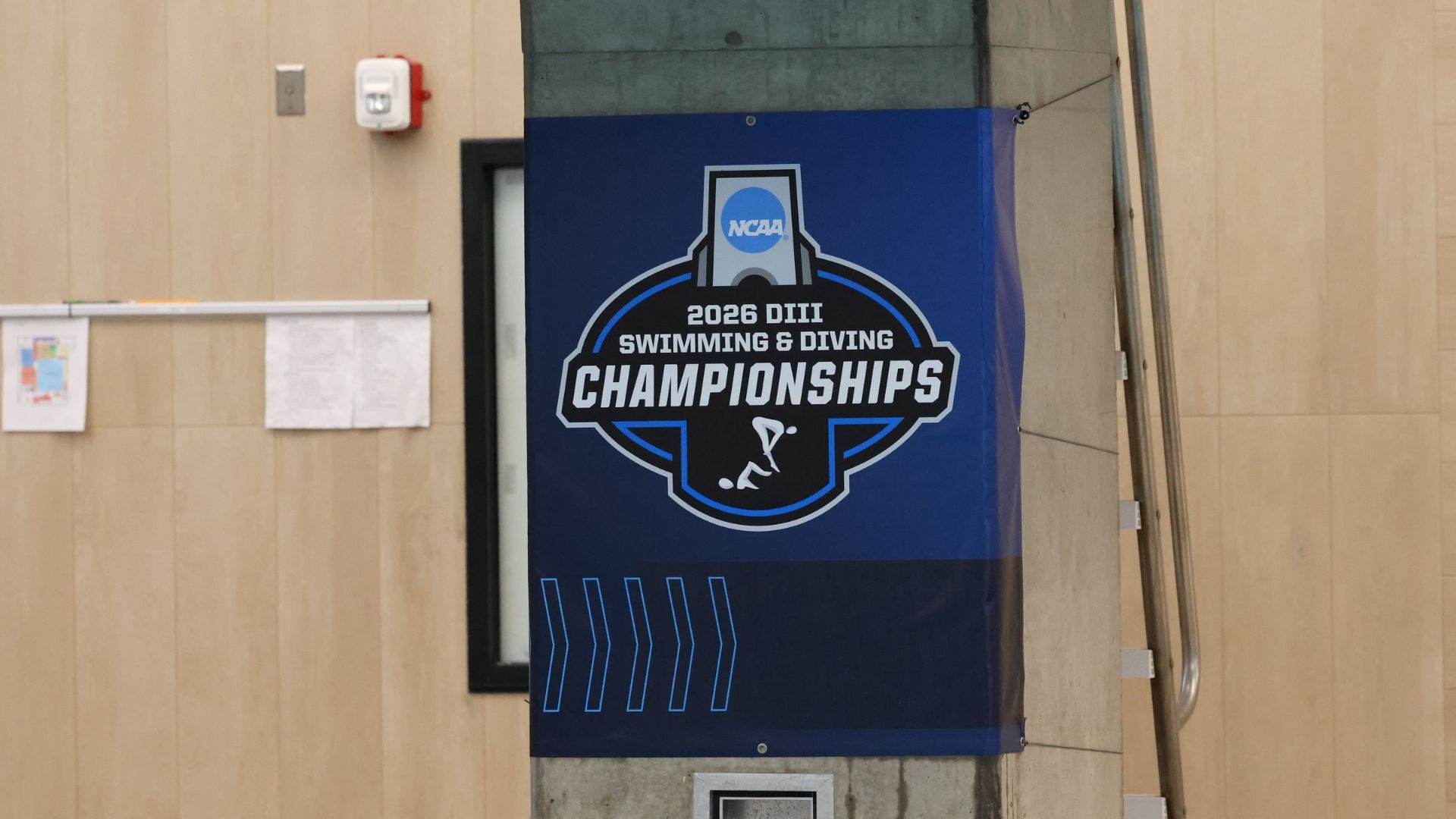 Diving Regional Banner