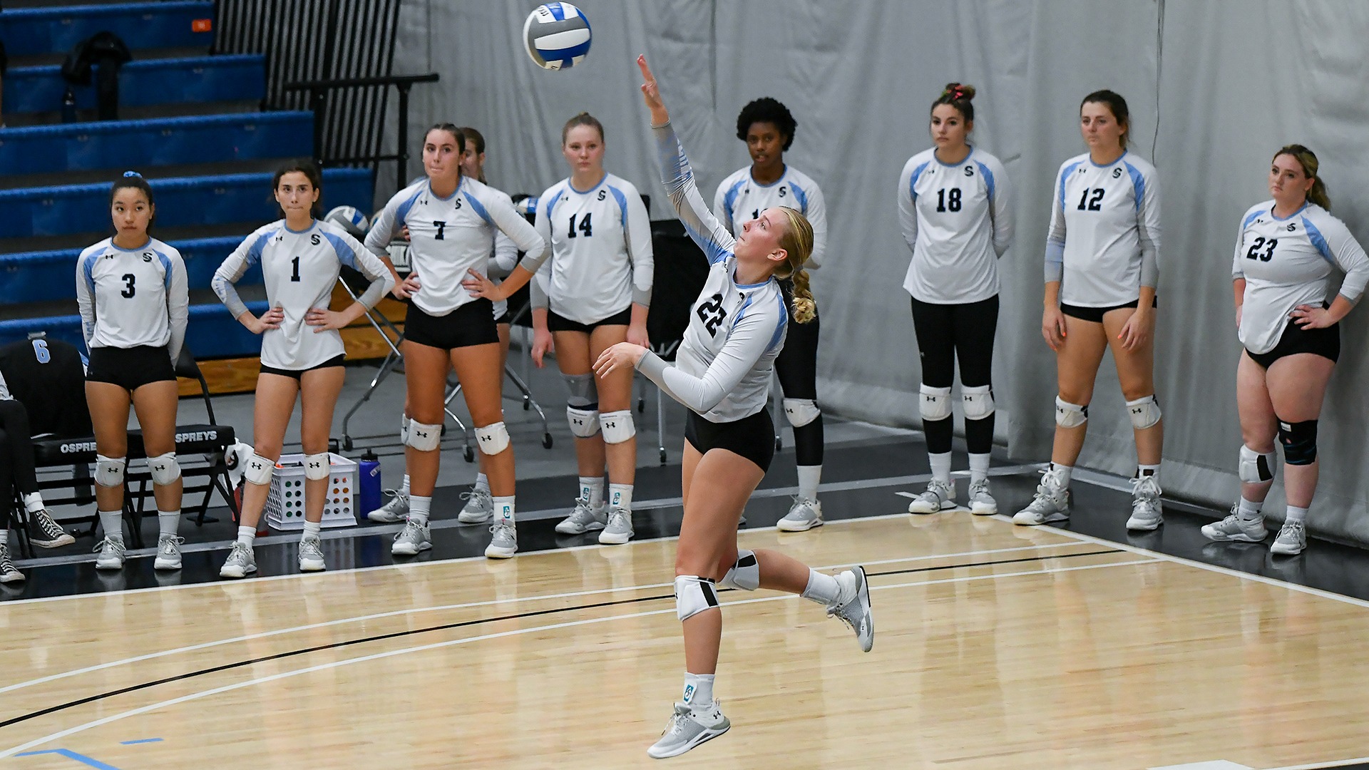Ashley Carkhuff Volleyball Stockton University Athletics