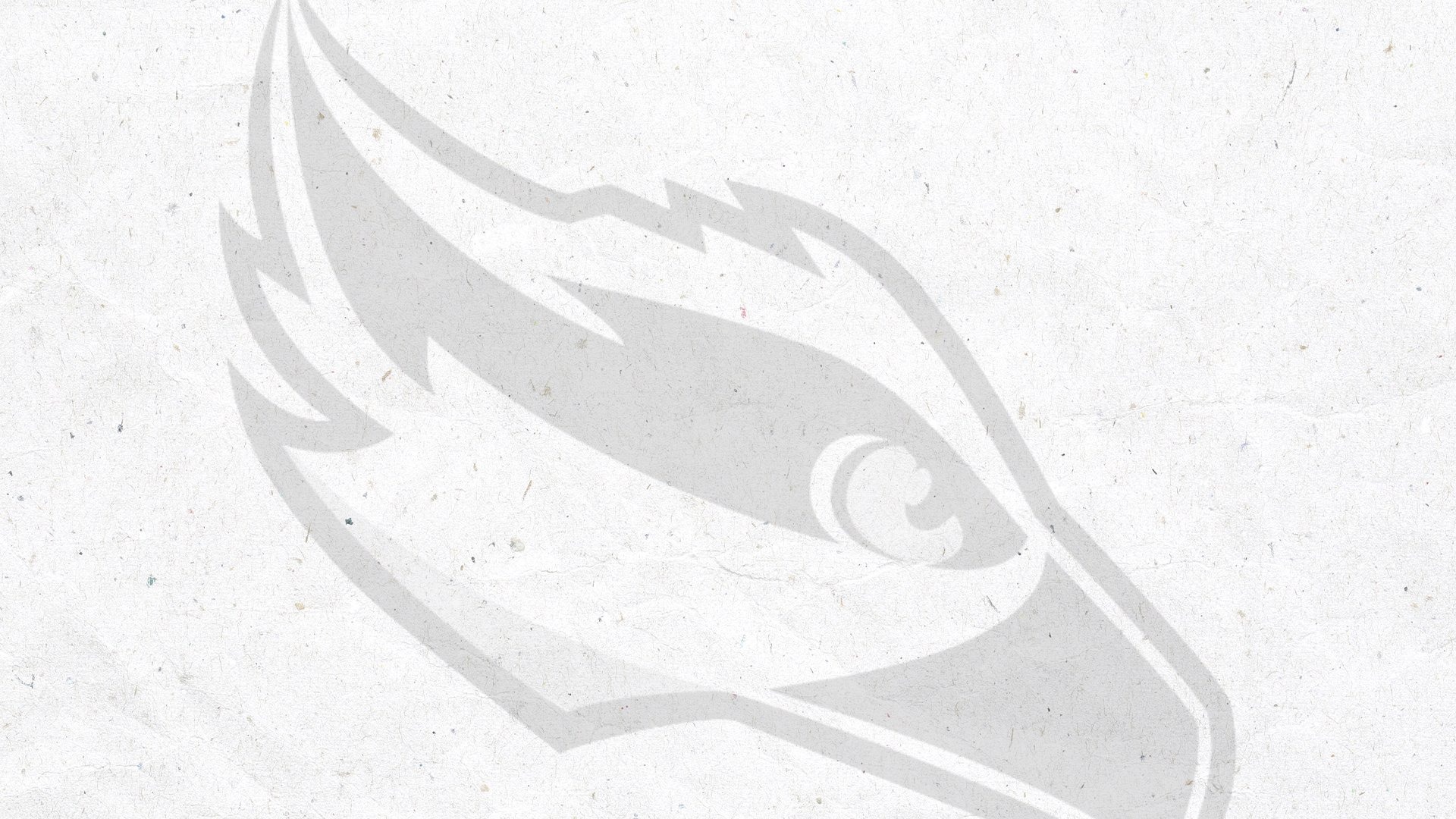 Osprey Outline