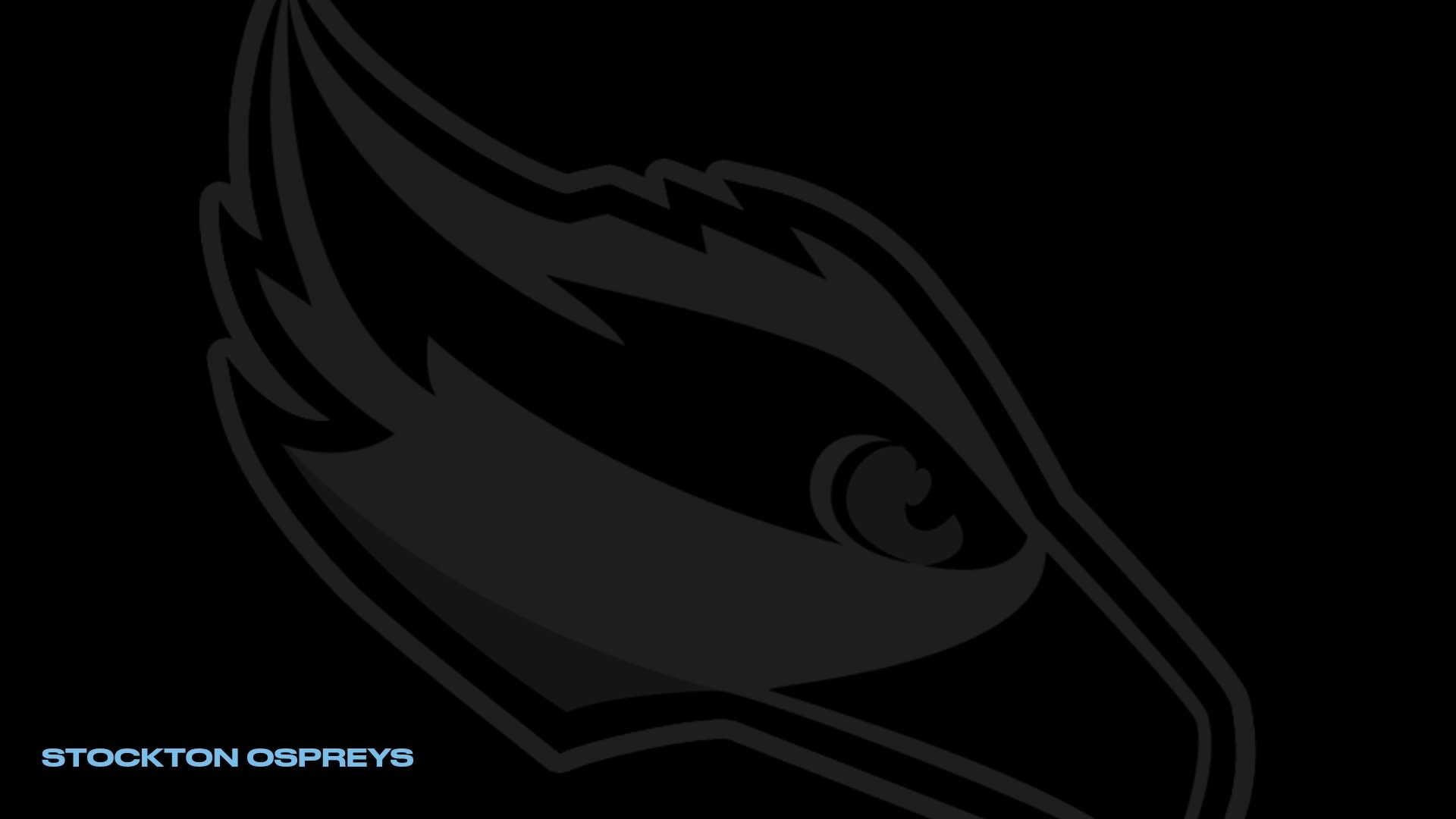 Ospreys of the Week 24