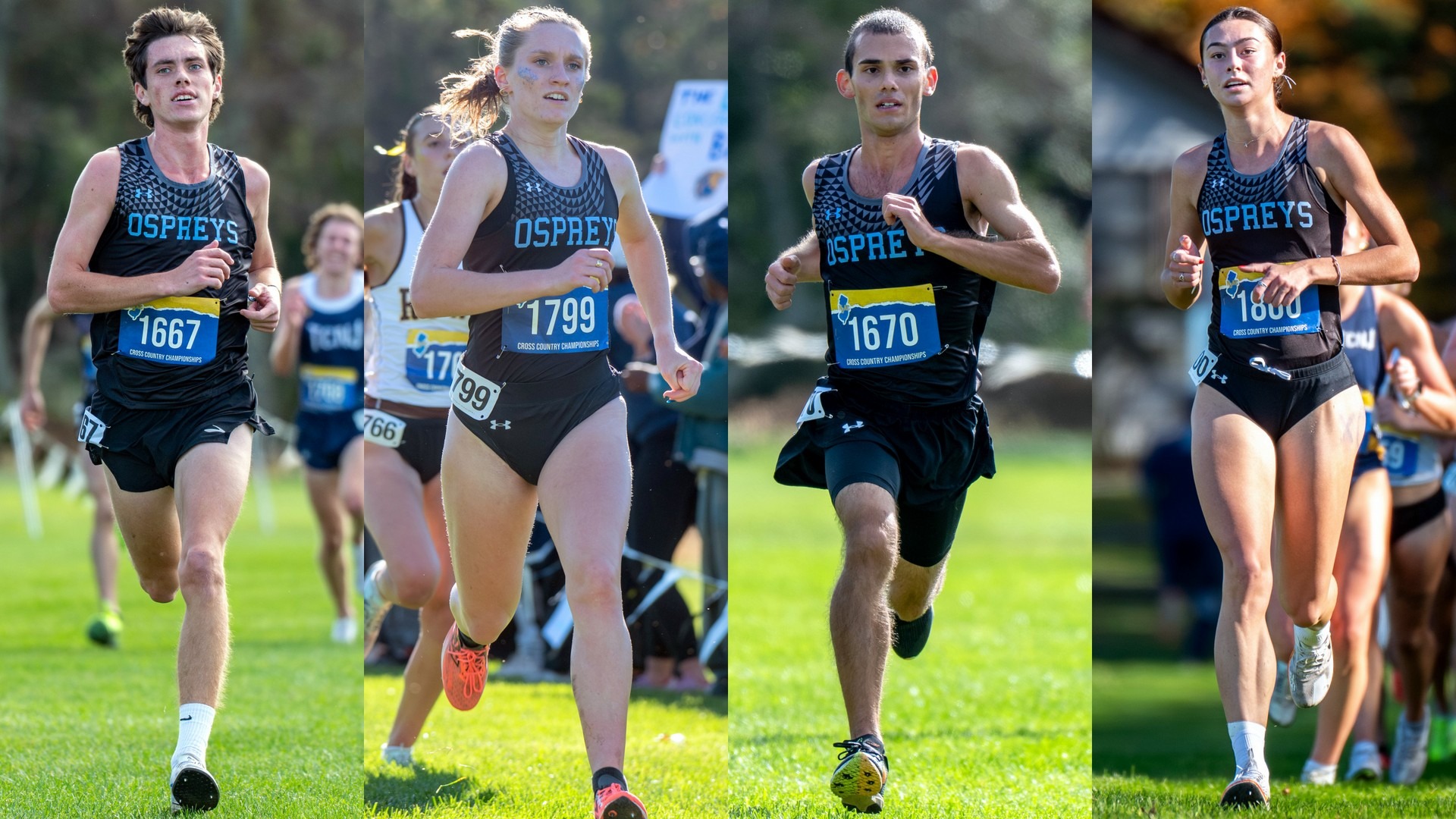 XC region 25