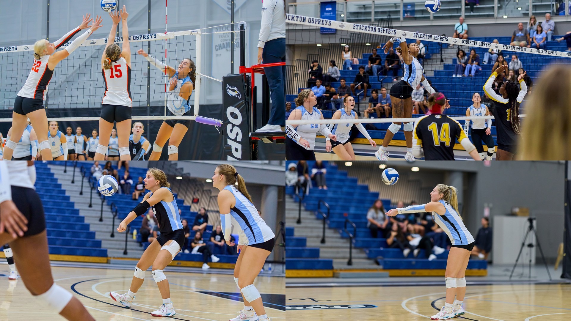 VB preview 26