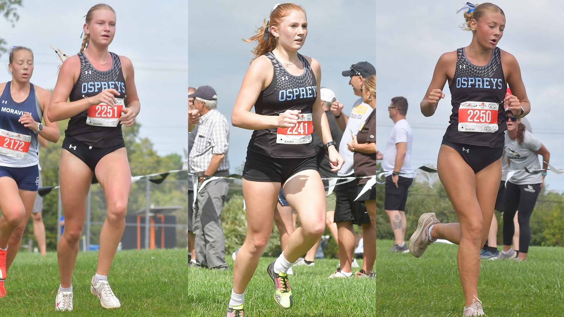 WXC preview 26