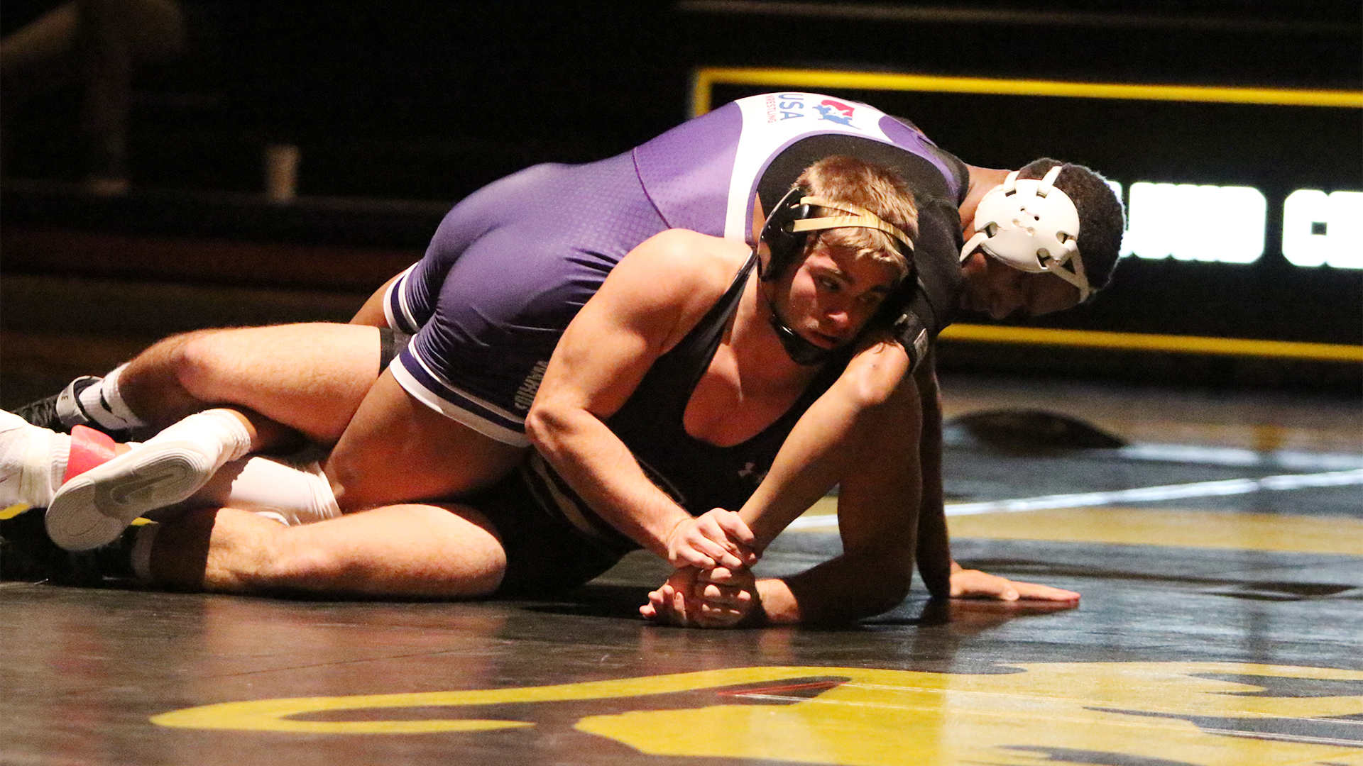 Kris Kurtz - Waldorf