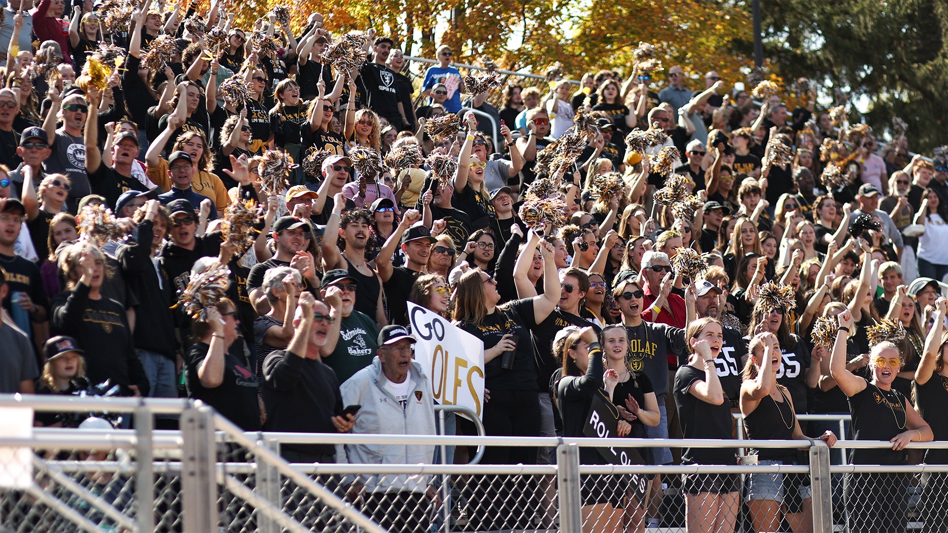 Football Fans - Hamline - 2024-10-05