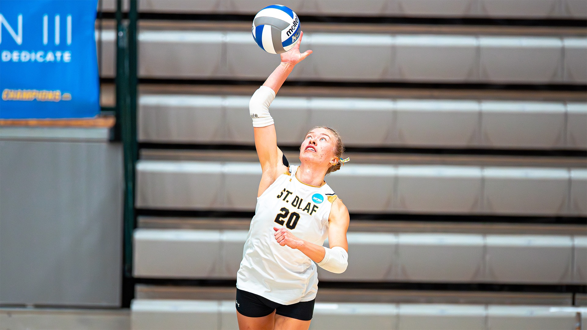 Morgan Ryan - Northwestern - 2025-11-20