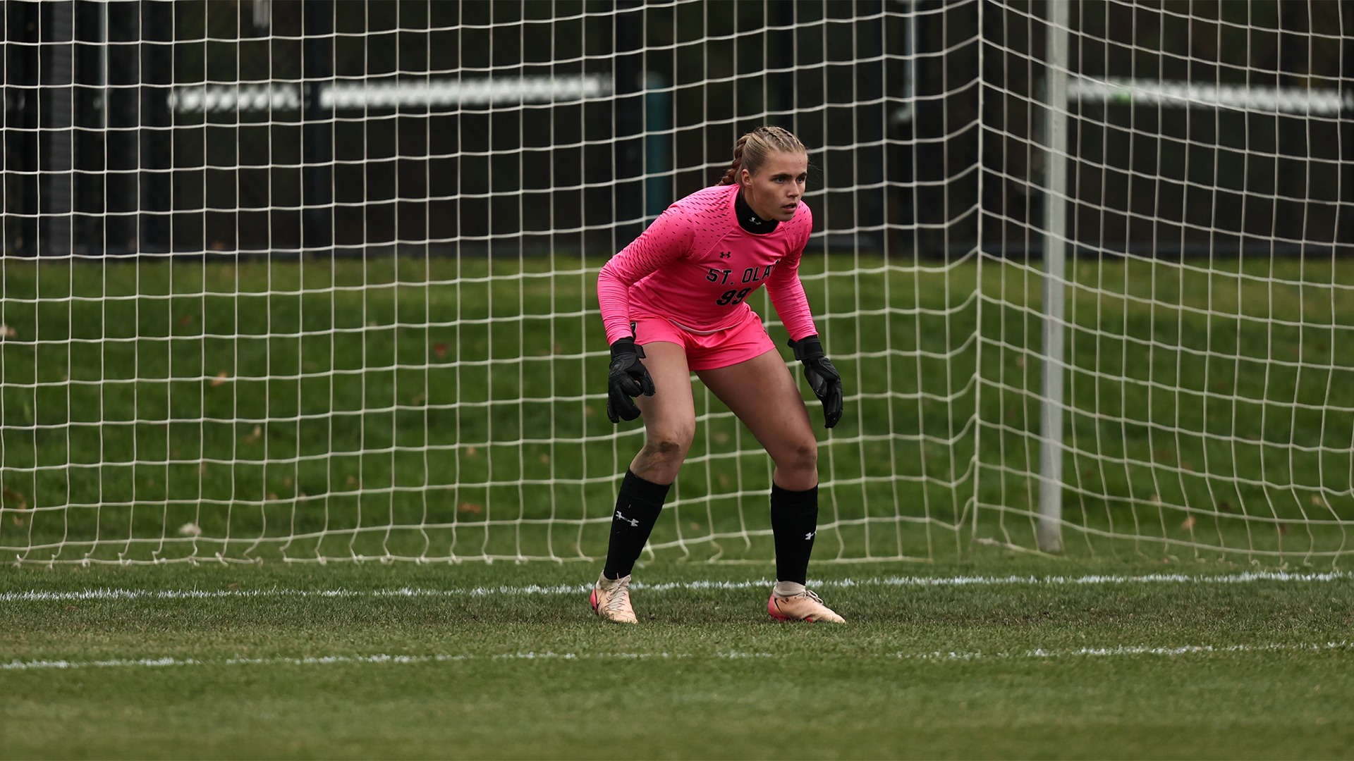 Charlotte Percy - Carleton - 2025-11-06