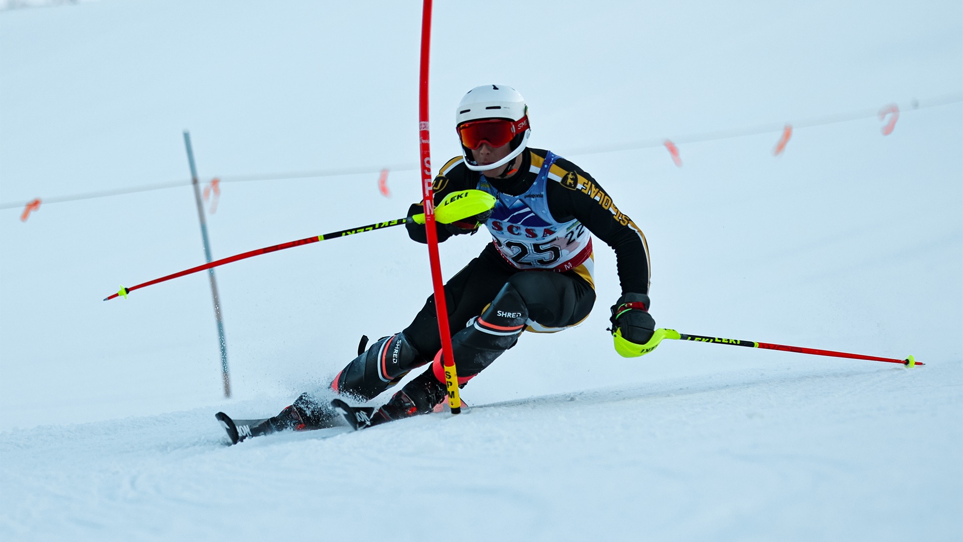 Wyatt Shultz - Afton - 2025-01-14