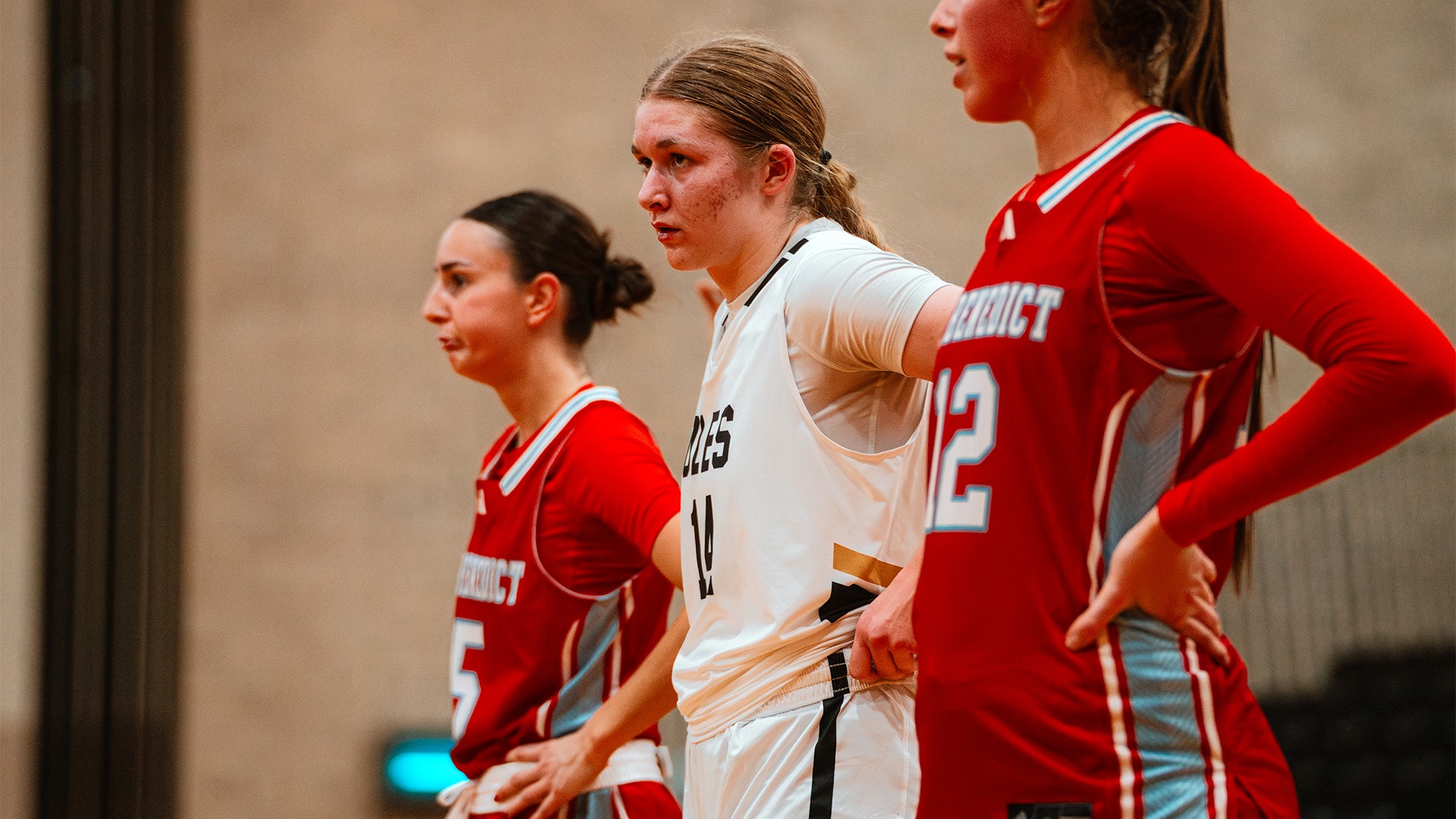 Elise Hahn - CSB - 2025-11-19