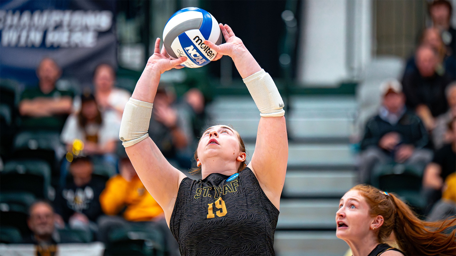 Sophie Saxton sets a ball.
