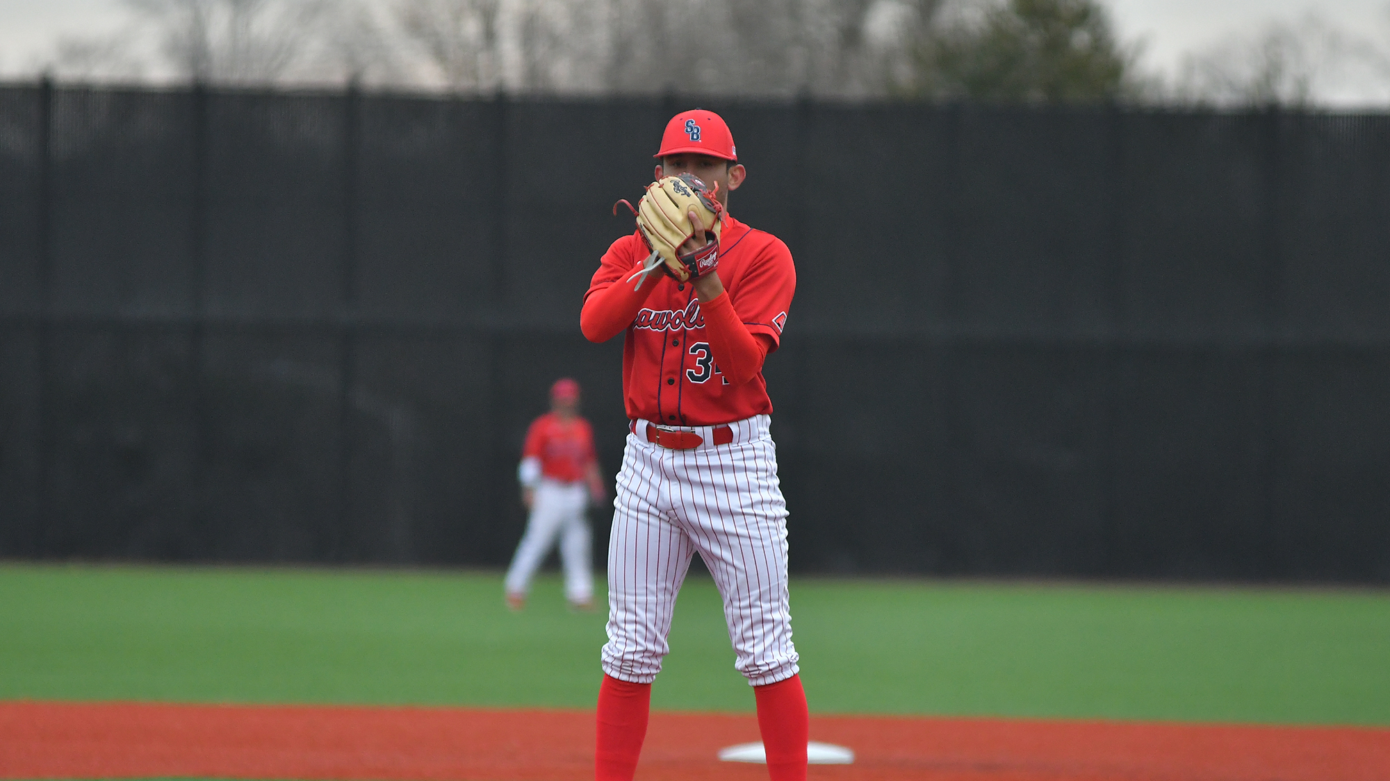 Kyle Johnson Baseball Stony Brook University Athletics