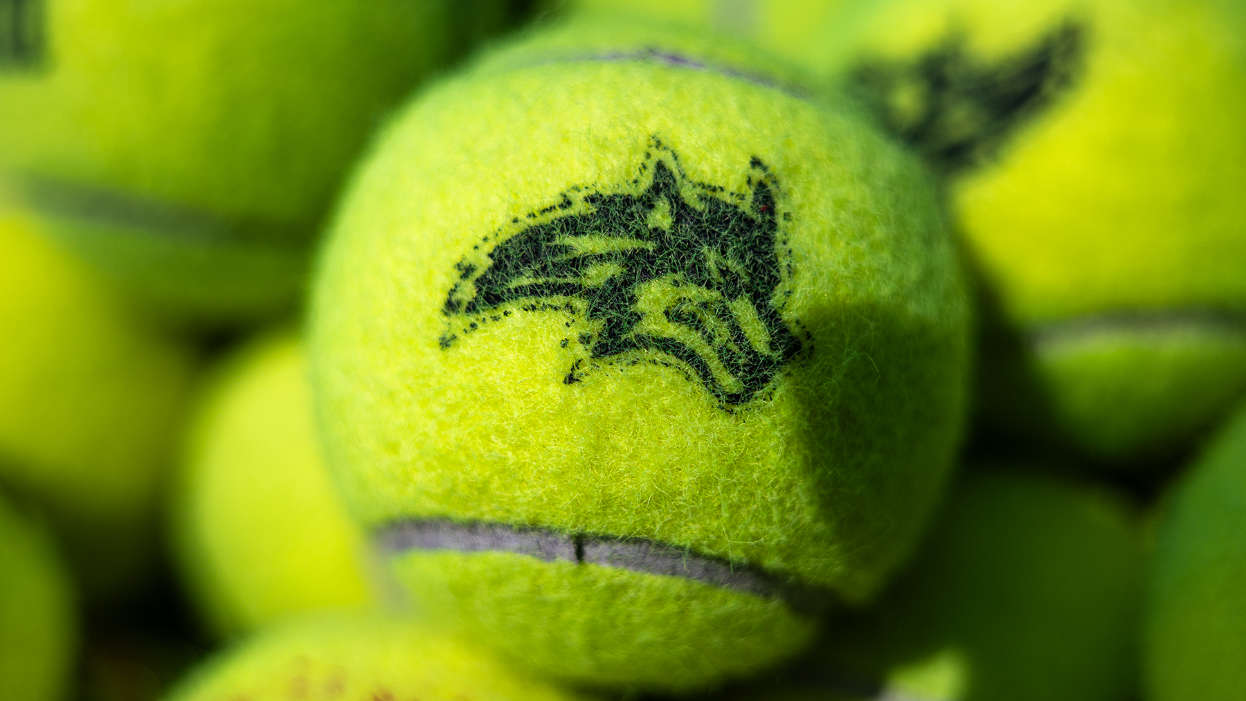 Tennis Regionals Qual Story