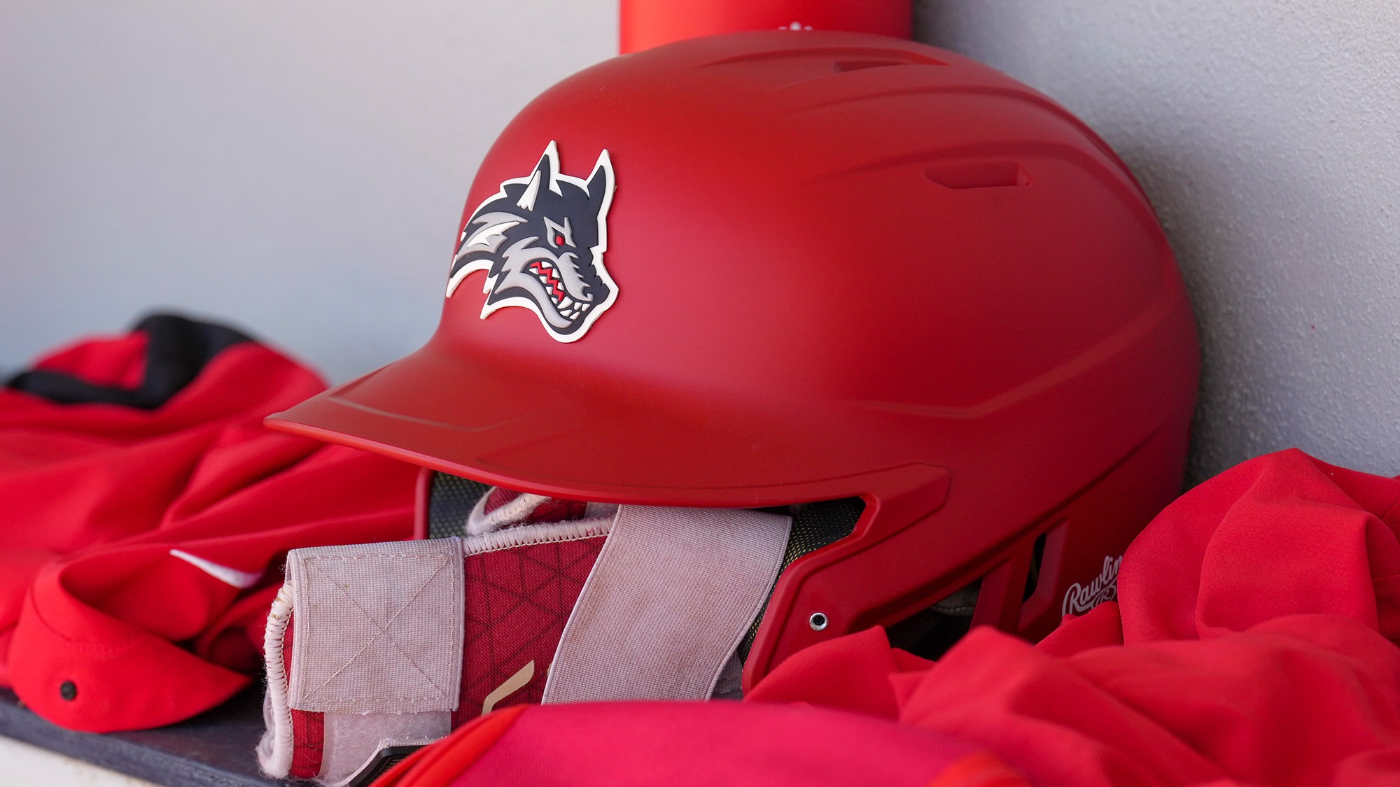 Softball Helmet Photo
