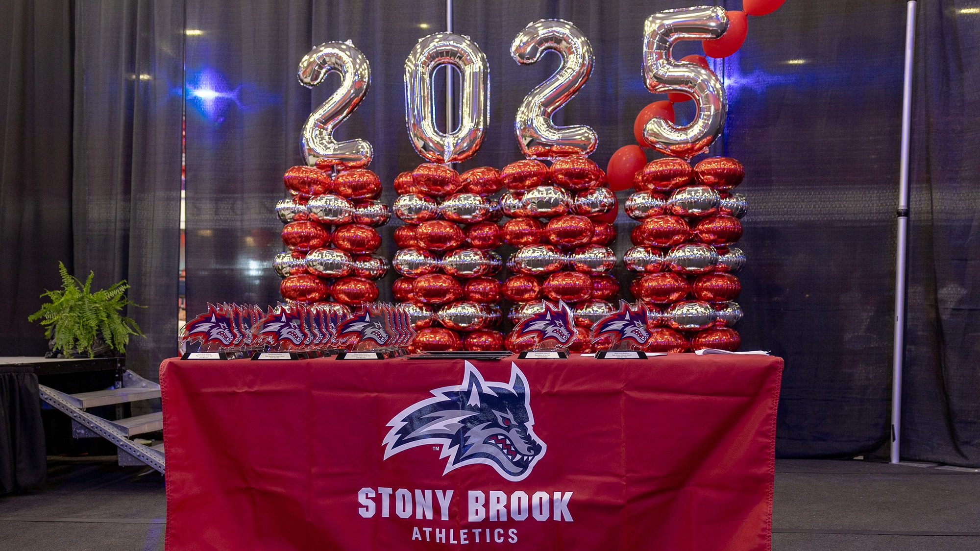 2025 Wolfies Cover Photo 